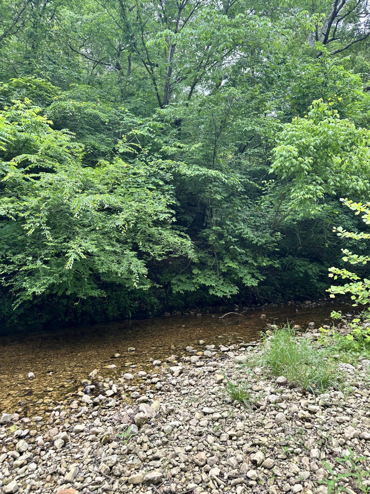 213 Trace Creek Trail Property Photo 39