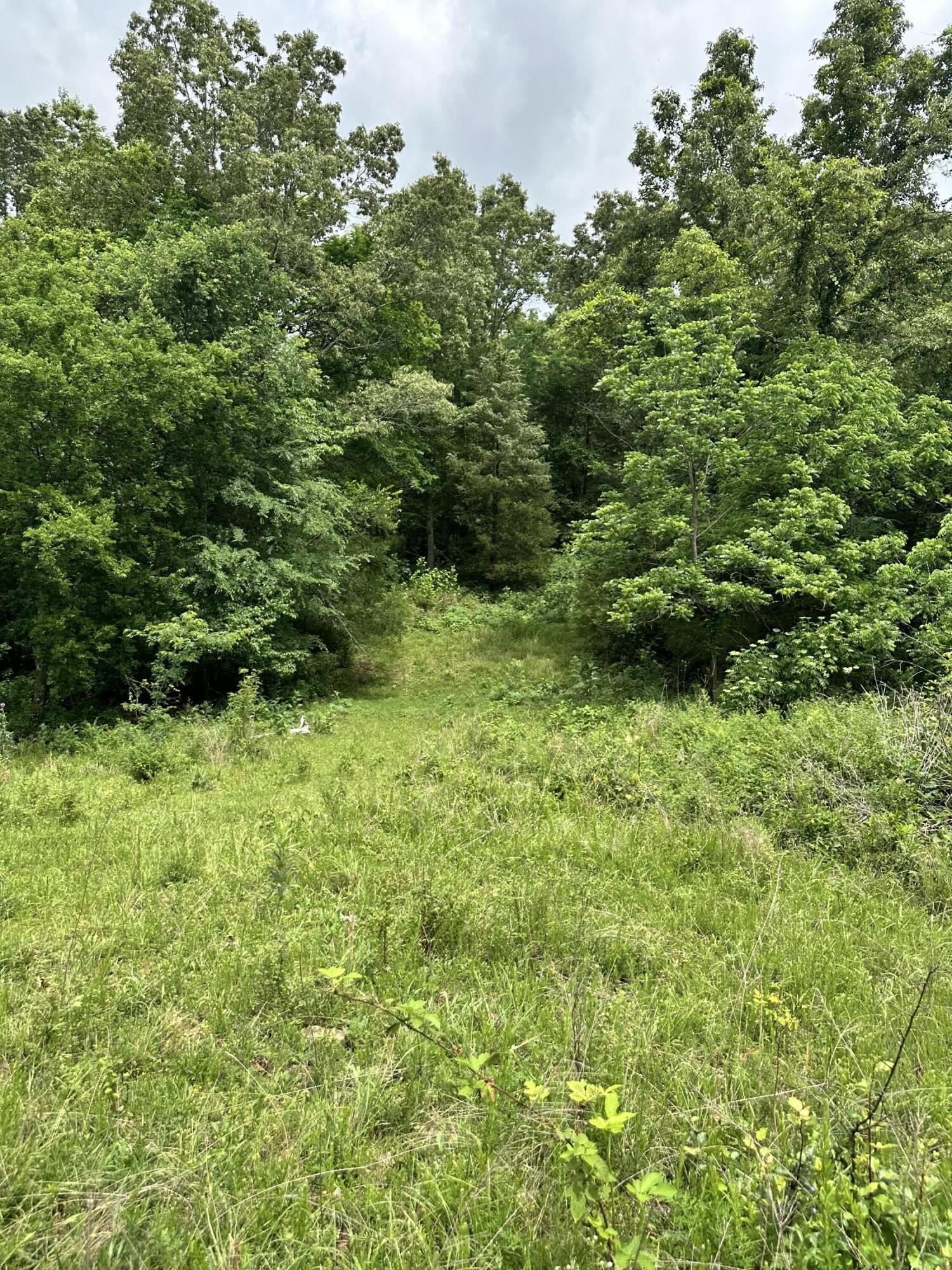 213 Trace Creek Trail Property Photo 44