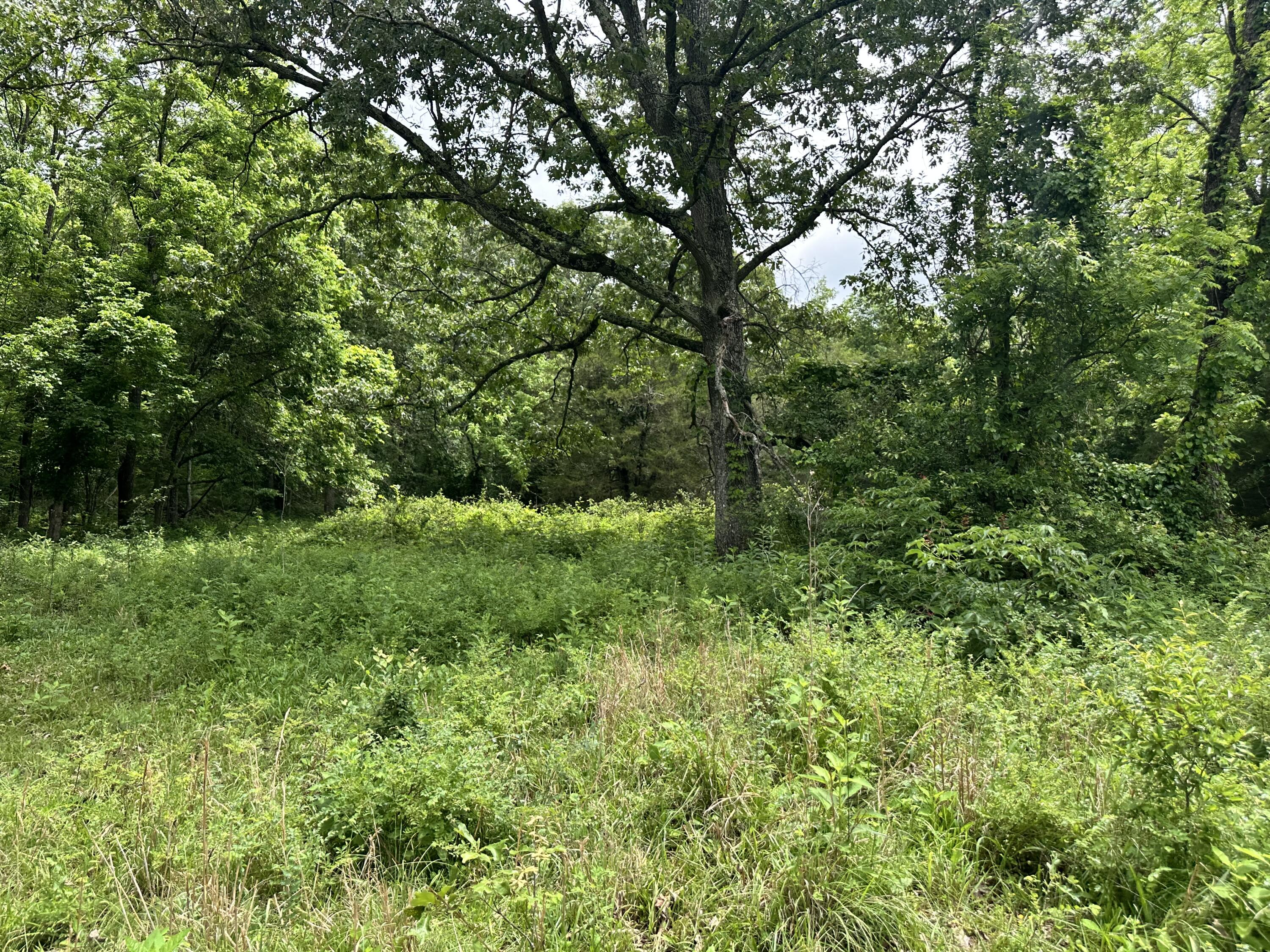 213 Trace Creek Trail Property Photo 45