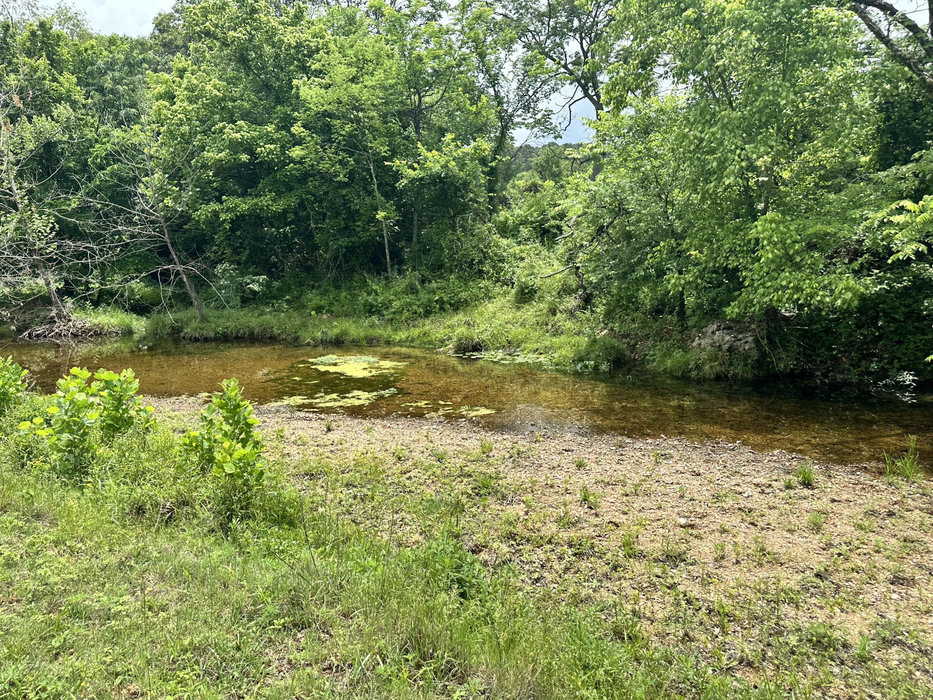 213 Trace Creek Trail Property Photo 46