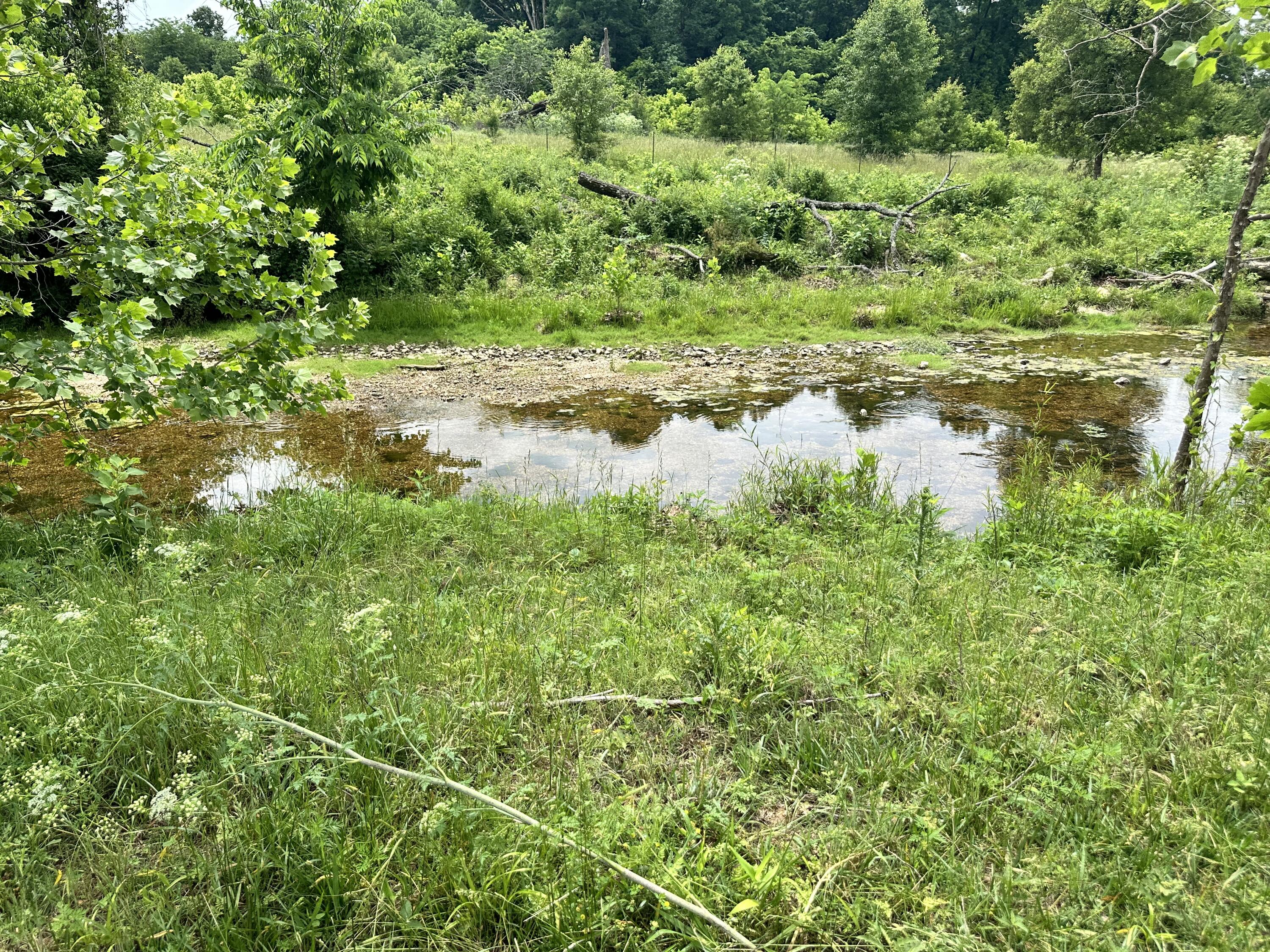 213 Trace Creek Trail Property Photo 47