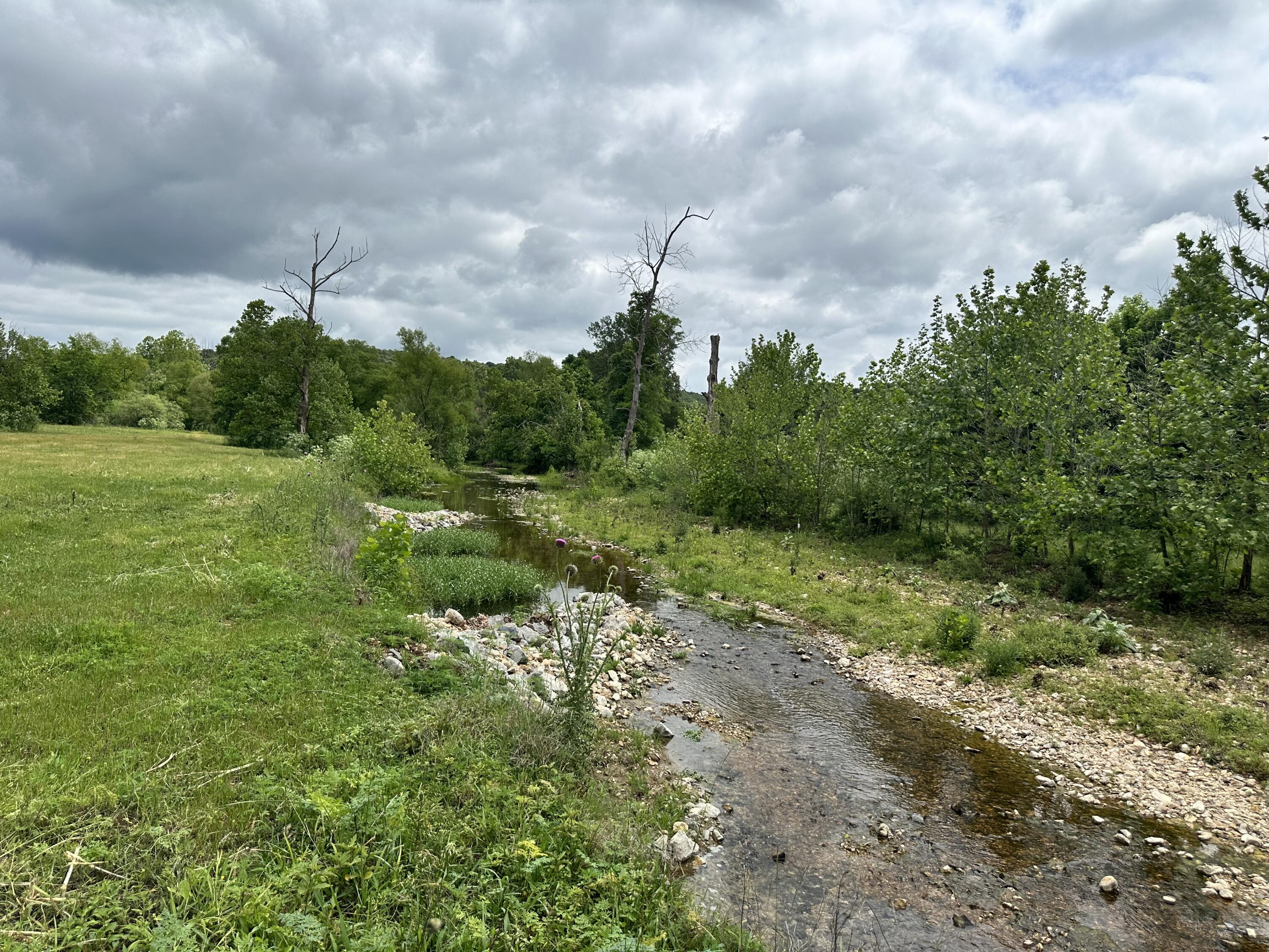 213 Trace Creek Trail Property Photo 49