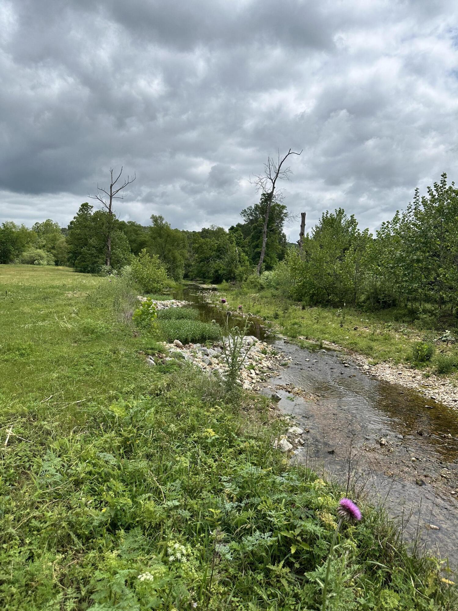 213 Trace Creek Trail Property Photo 52