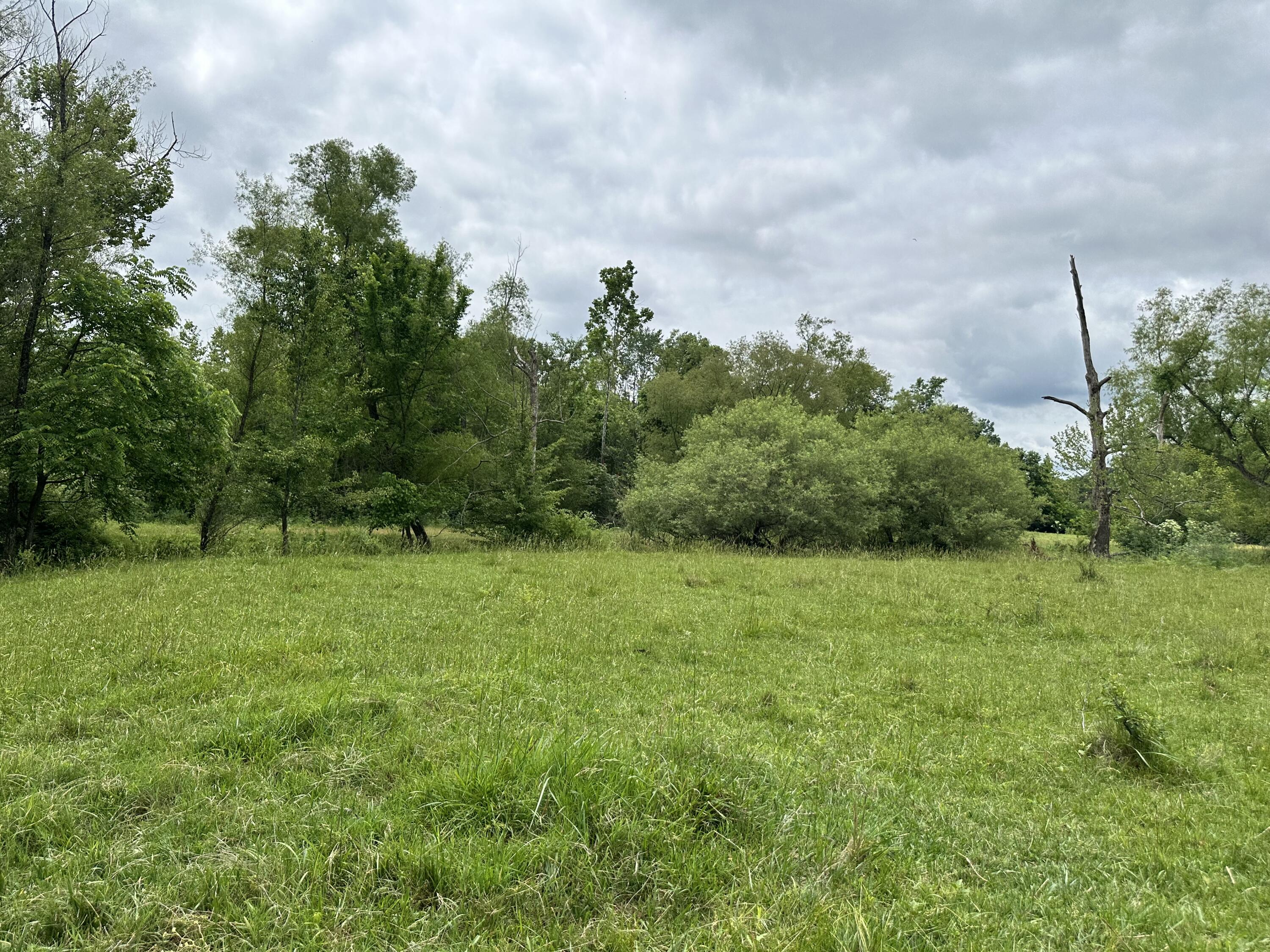 213 Trace Creek Trail Property Photo 54