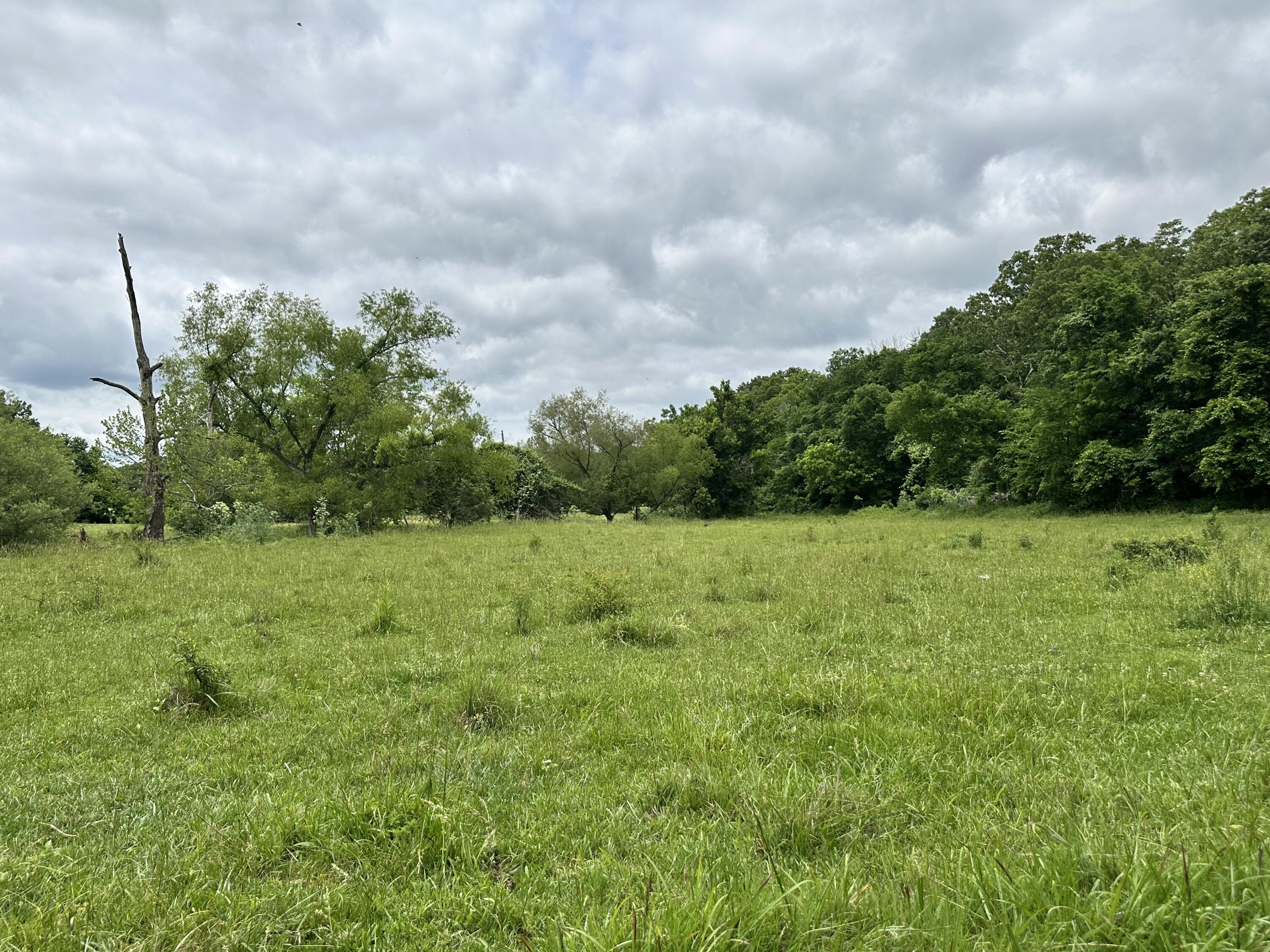 213 Trace Creek Trail Property Photo 55