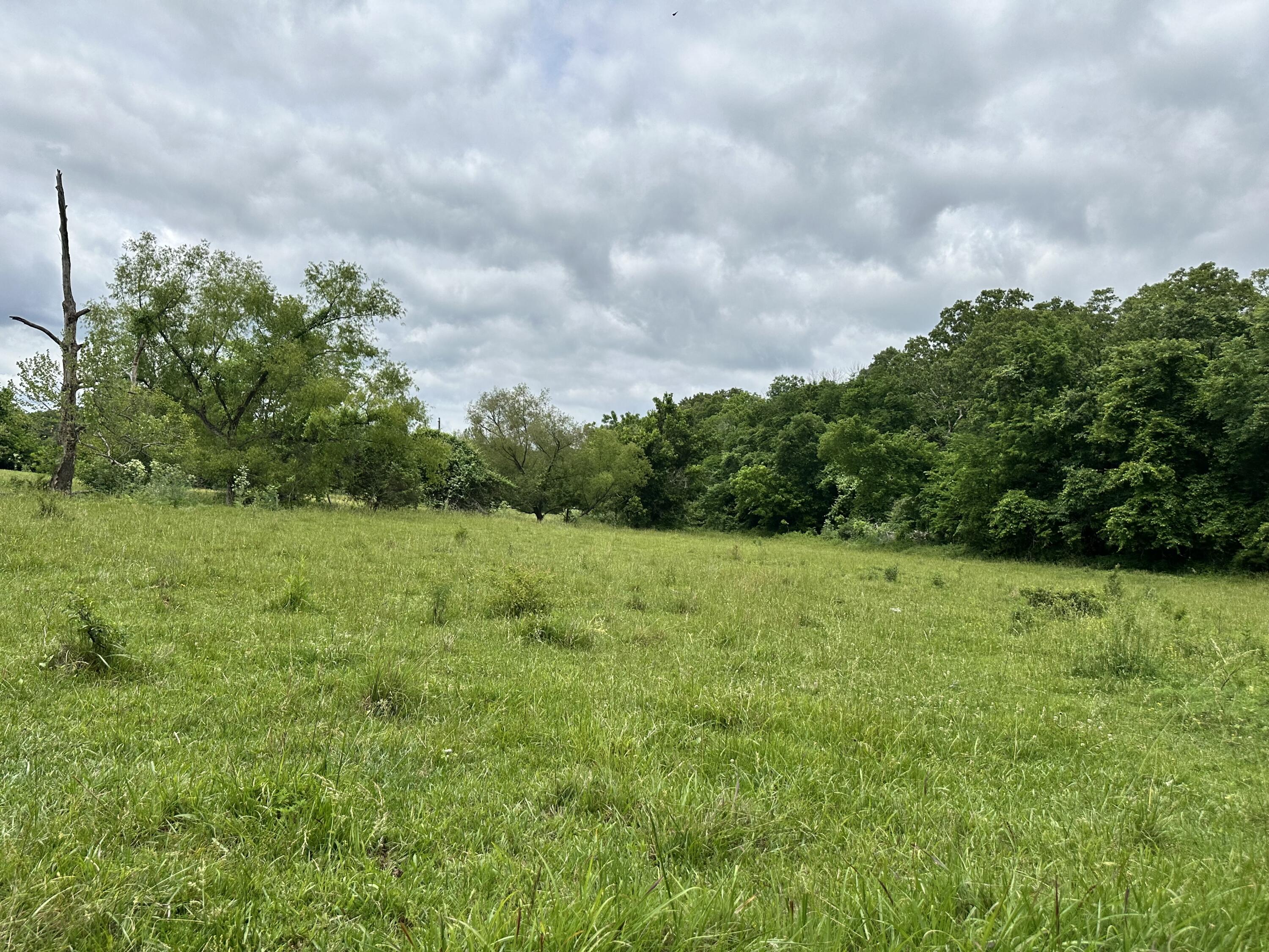 213 Trace Creek Trail Property Photo 56
