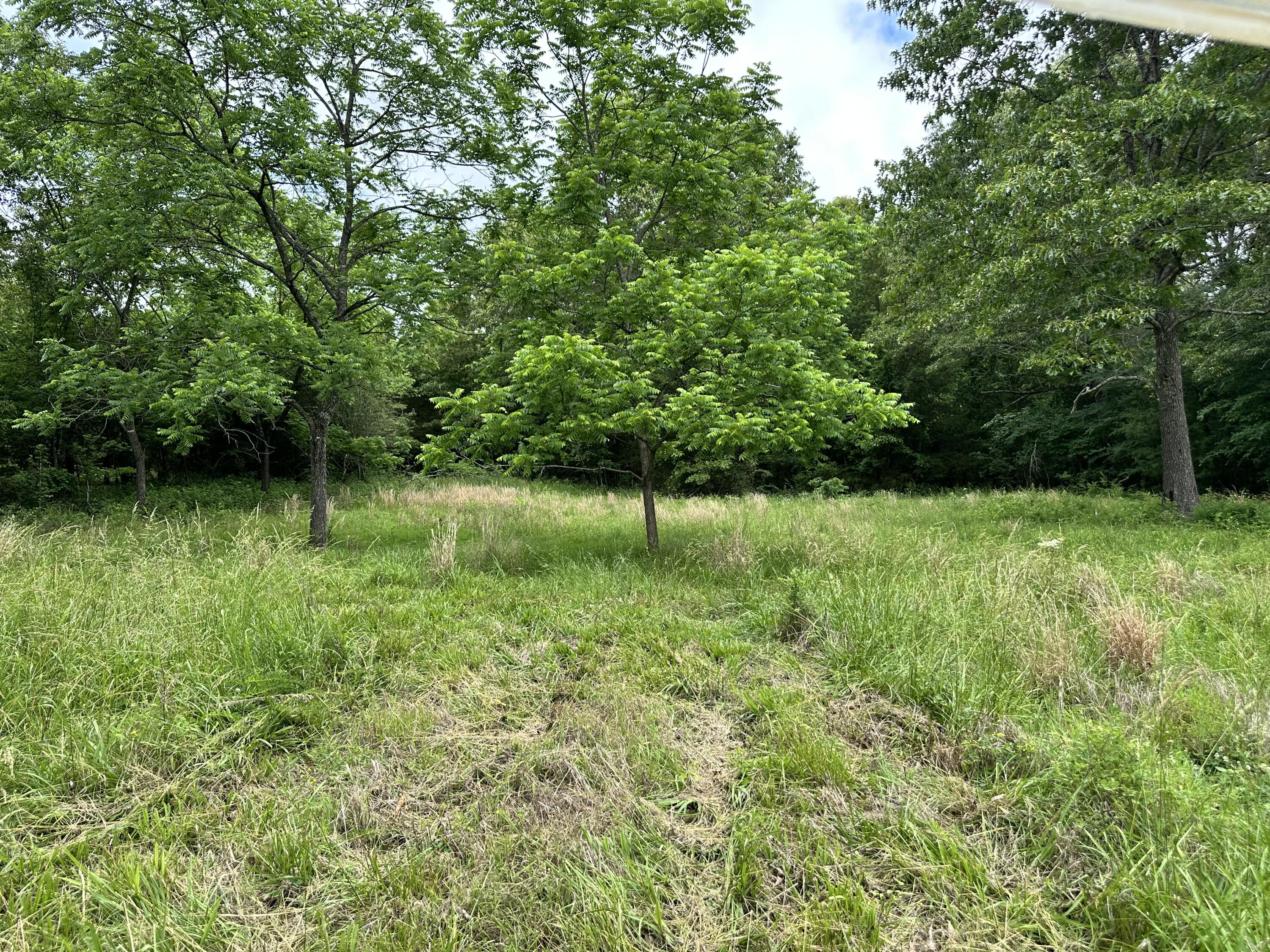 213 Trace Creek Trail Property Photo 57