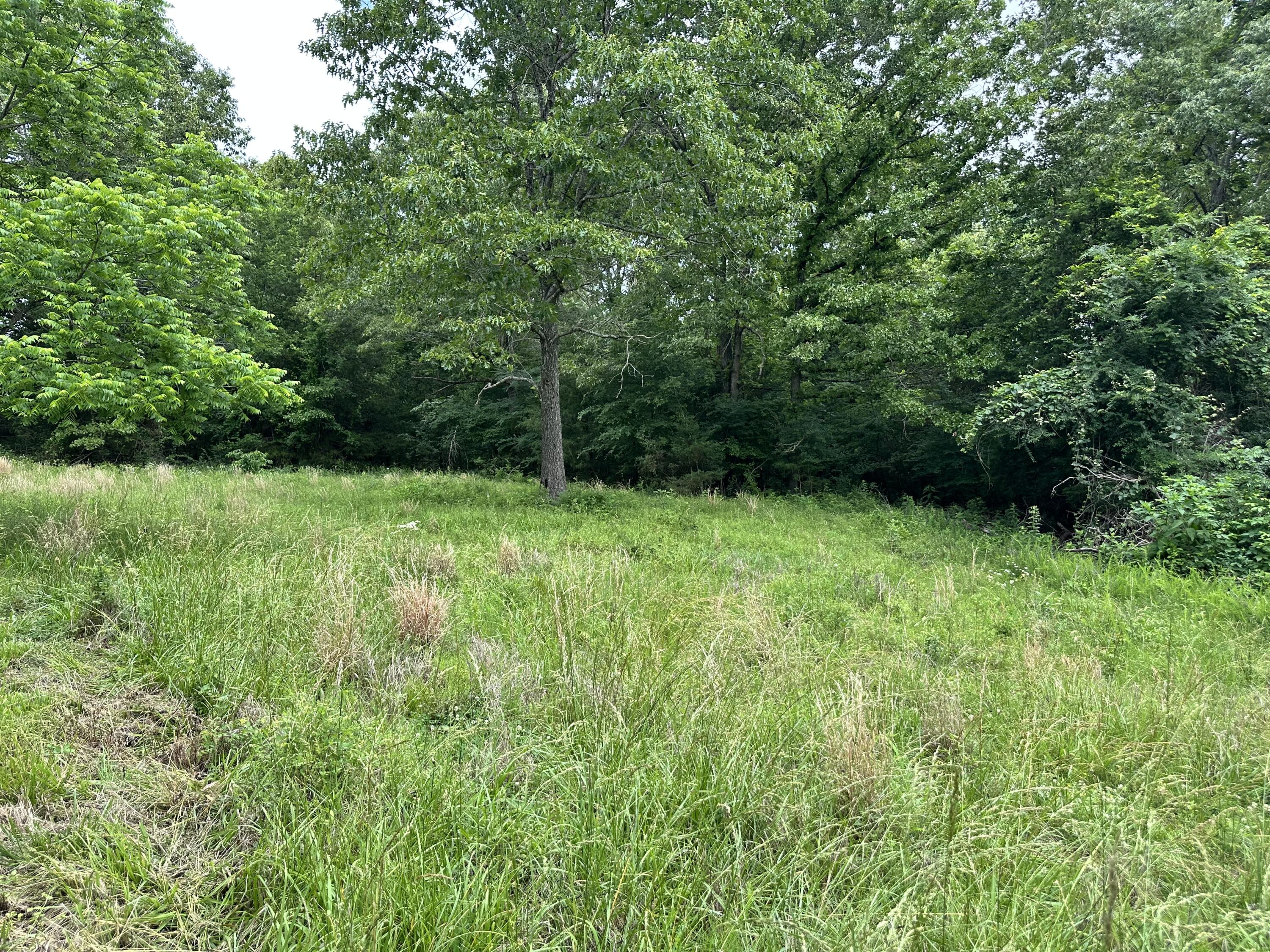 213 Trace Creek Trail Property Photo 58