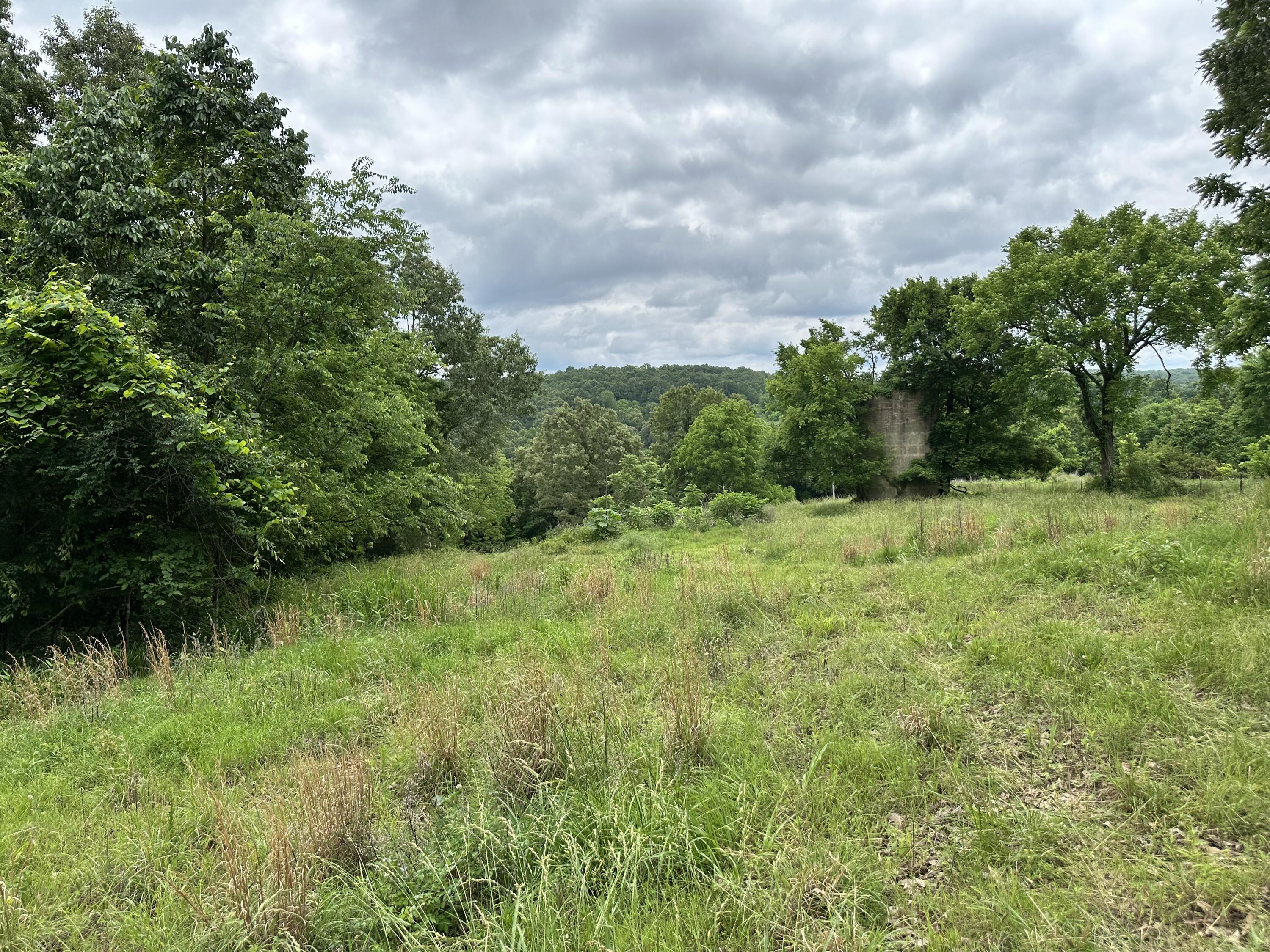 213 Trace Creek Trail Property Photo 59