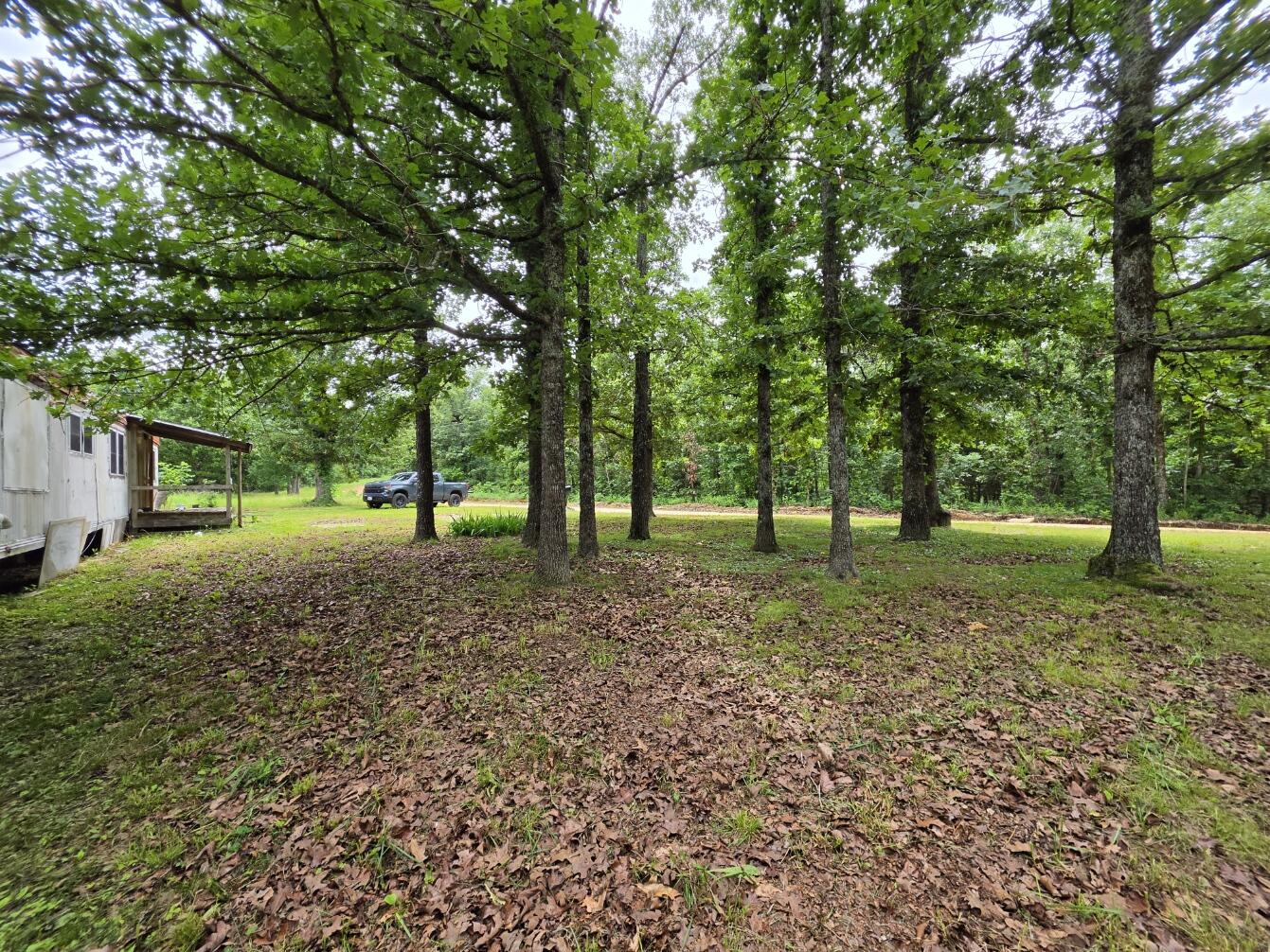 295 Black Oak Road Property Photo 2