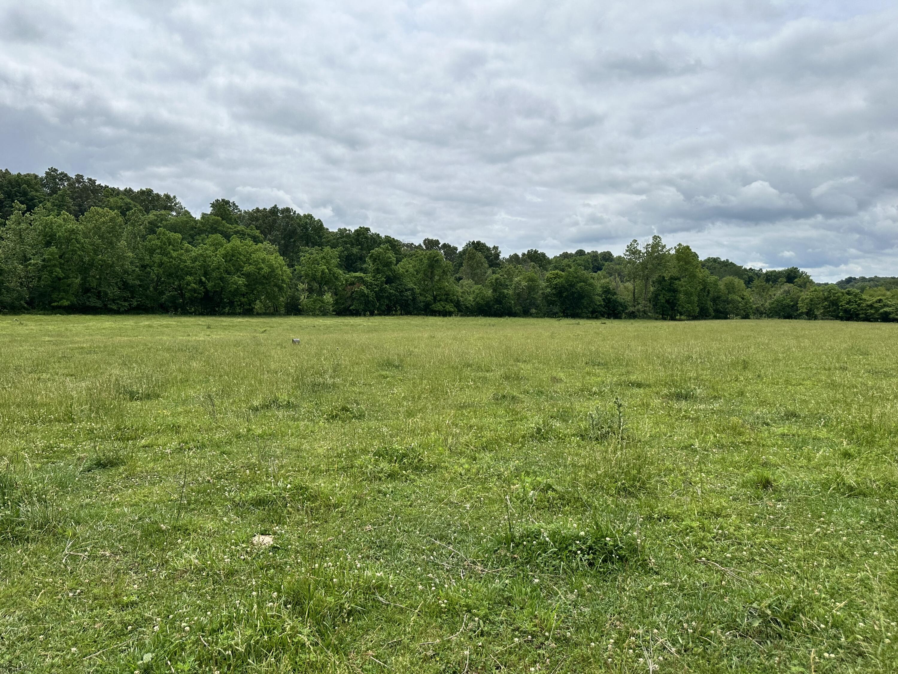 213 Trace Creek Trail Property Photo 35