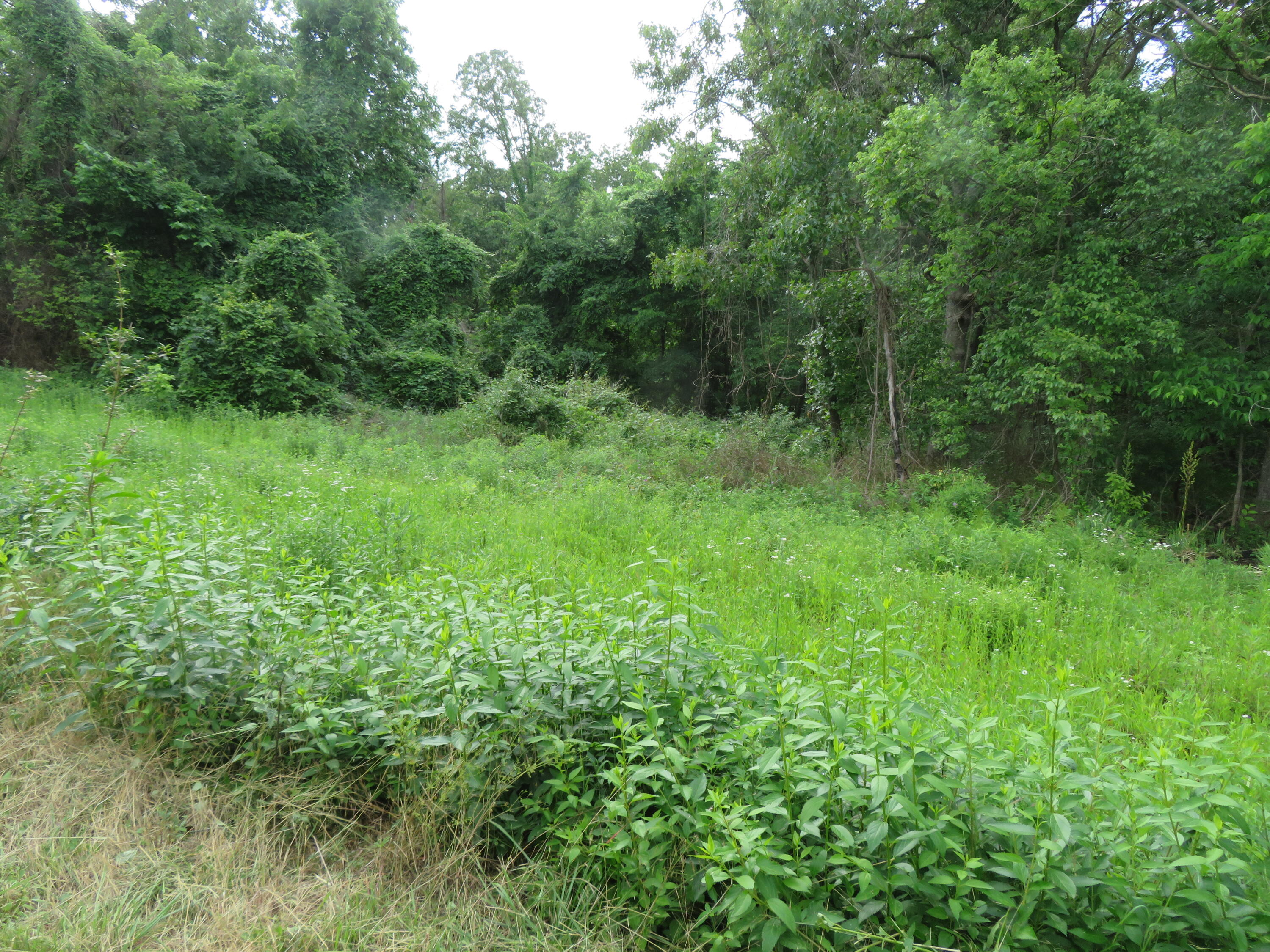 000 South 33rd Road Property Photo 4