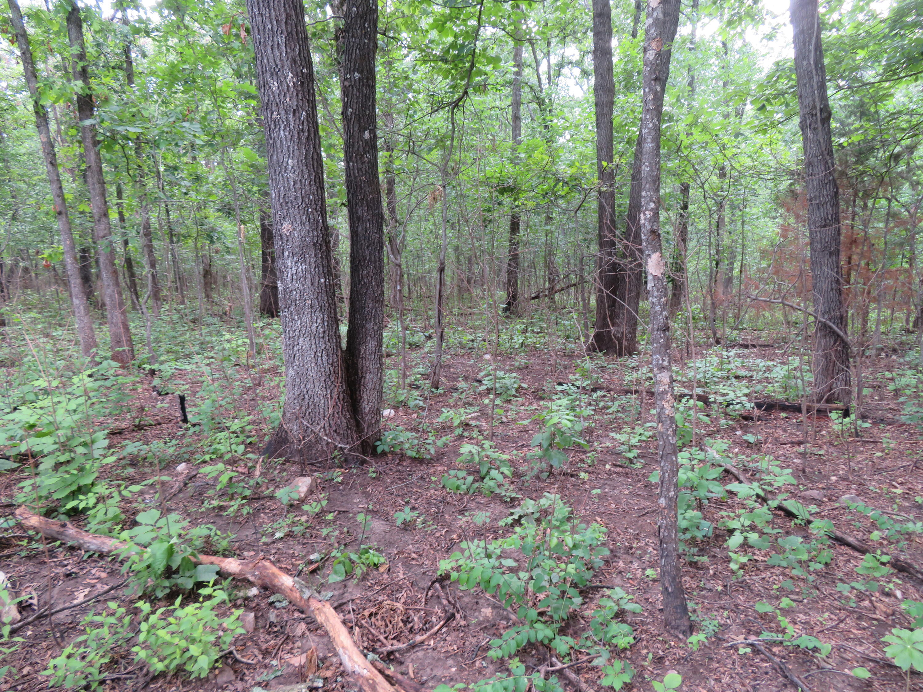 000 South 33rd Road Property Photo 10