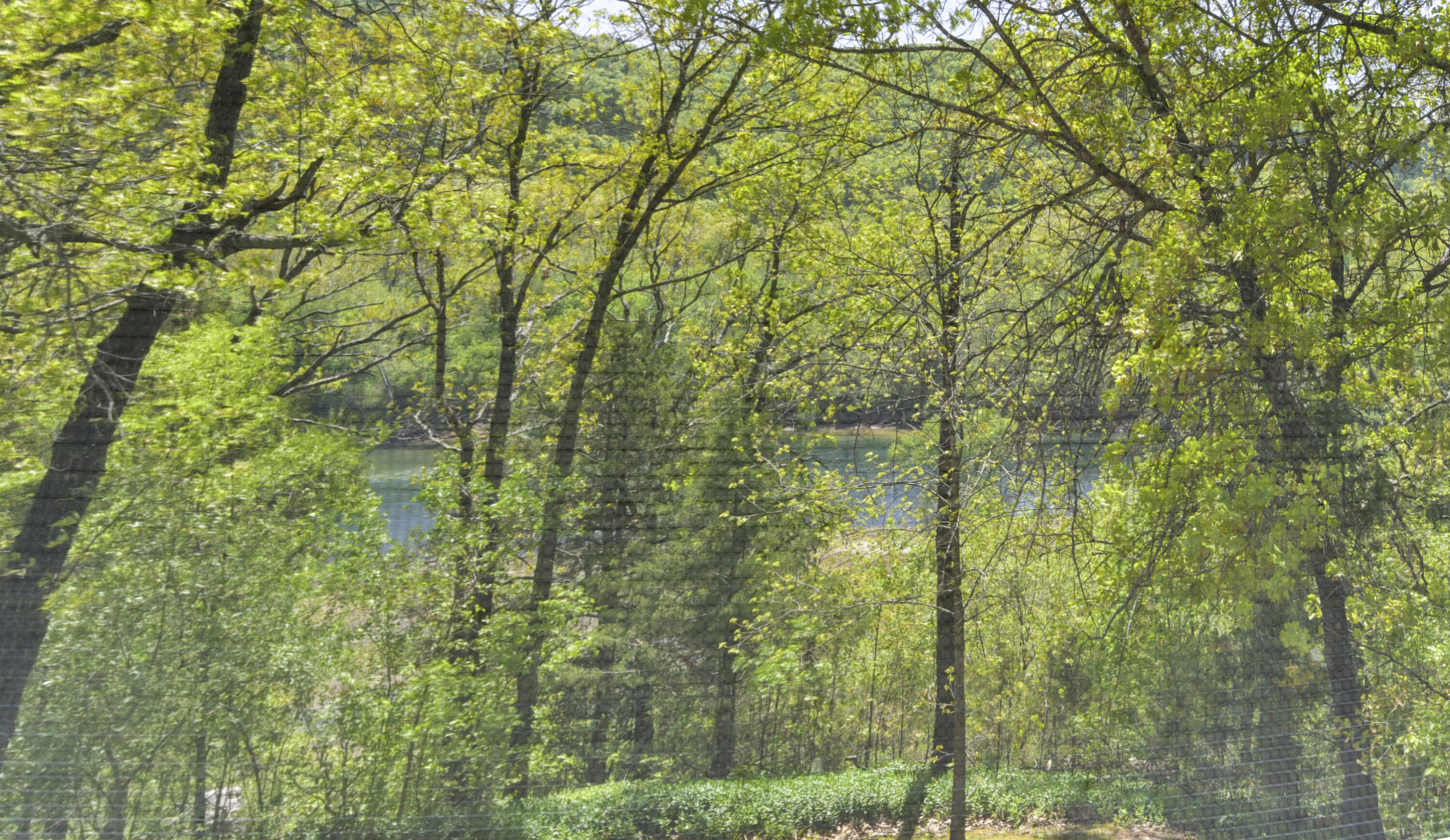 150 The Bluffs 7 Property Photo 23
