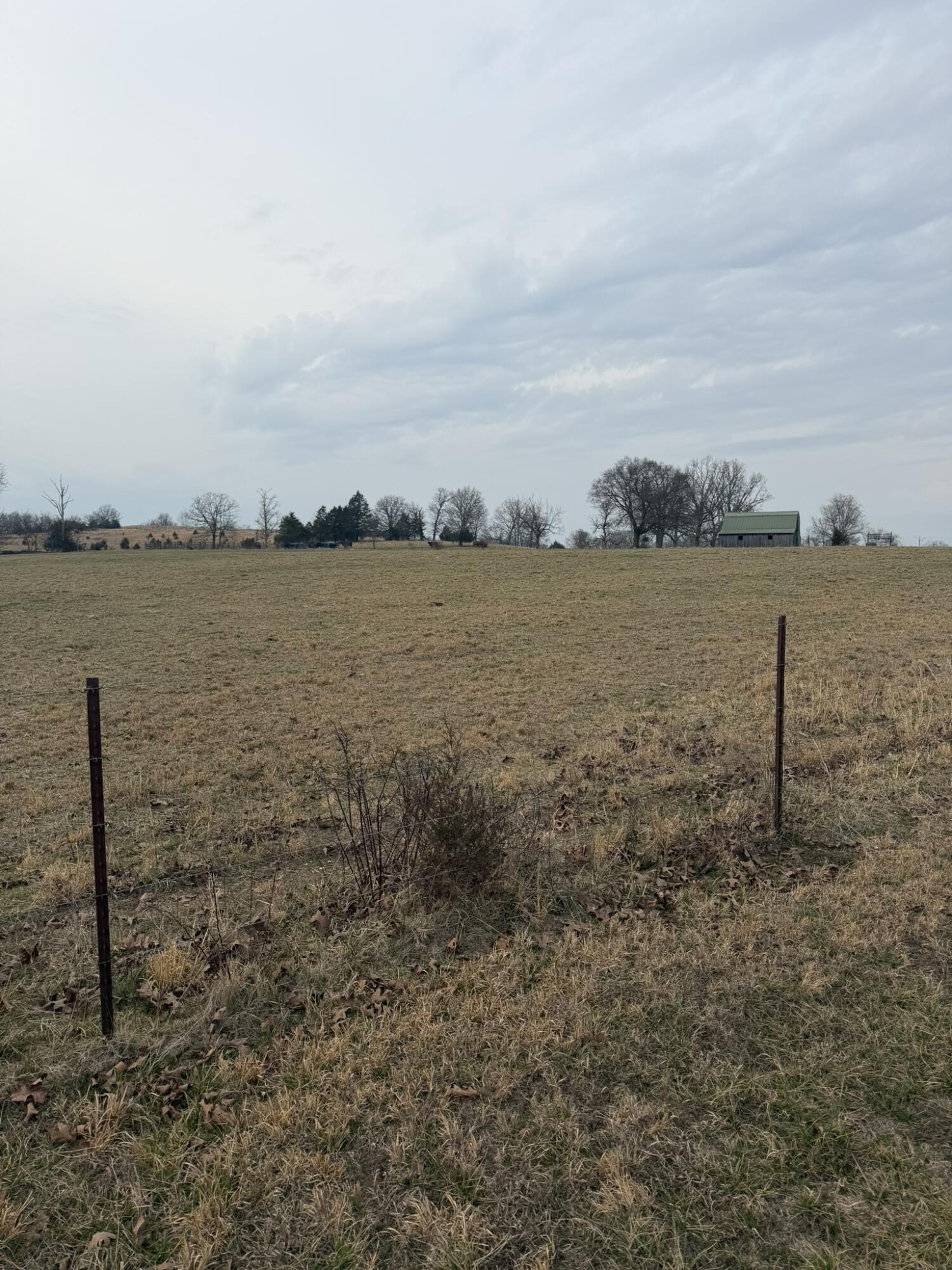 141 County Road 329 Property Photo 3