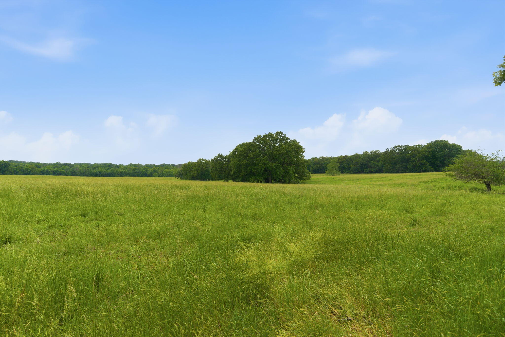 26096 East E Highway Property Photo 9