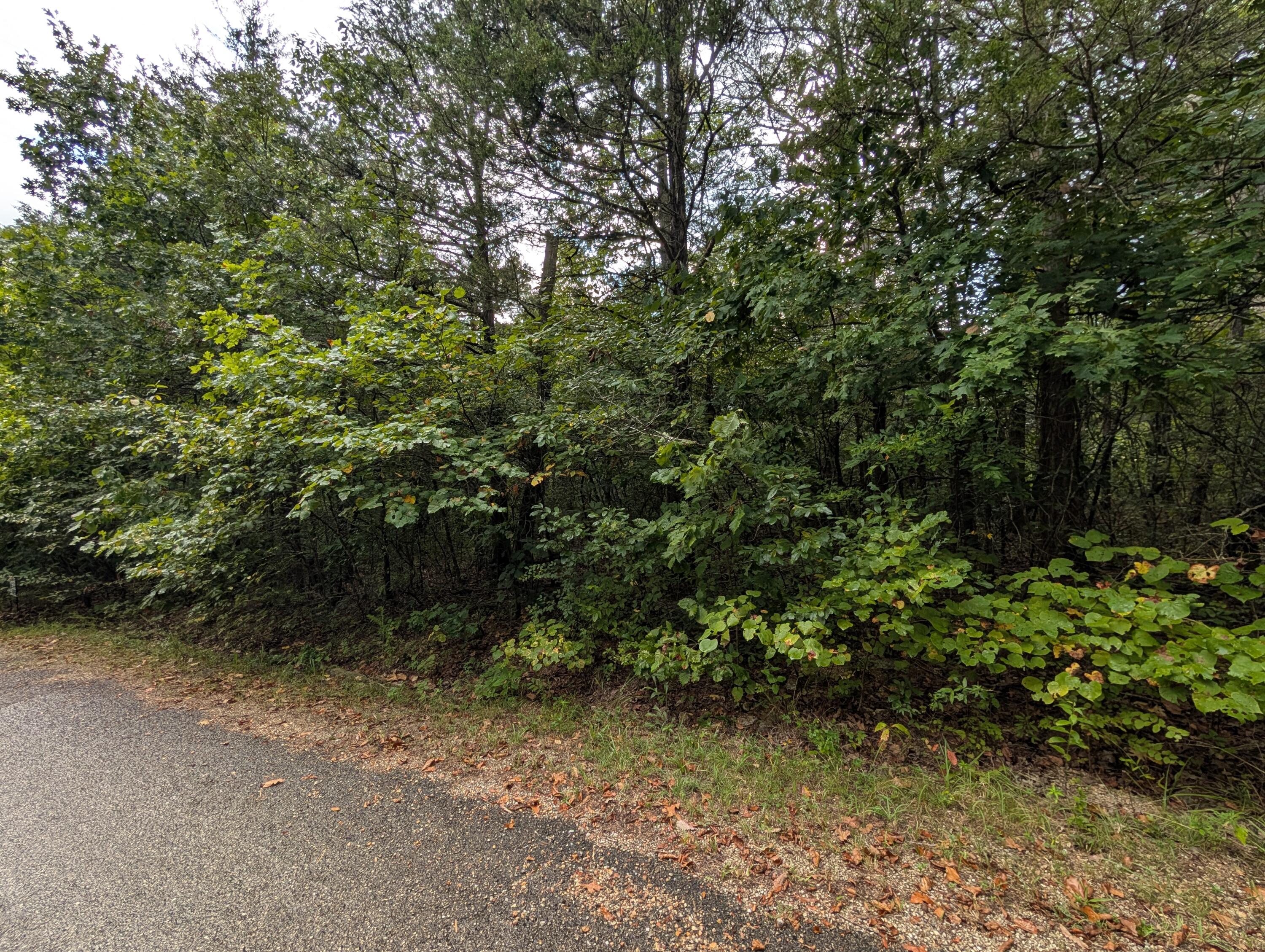 000 North Lot 359 Millstone Street Property Photo 3