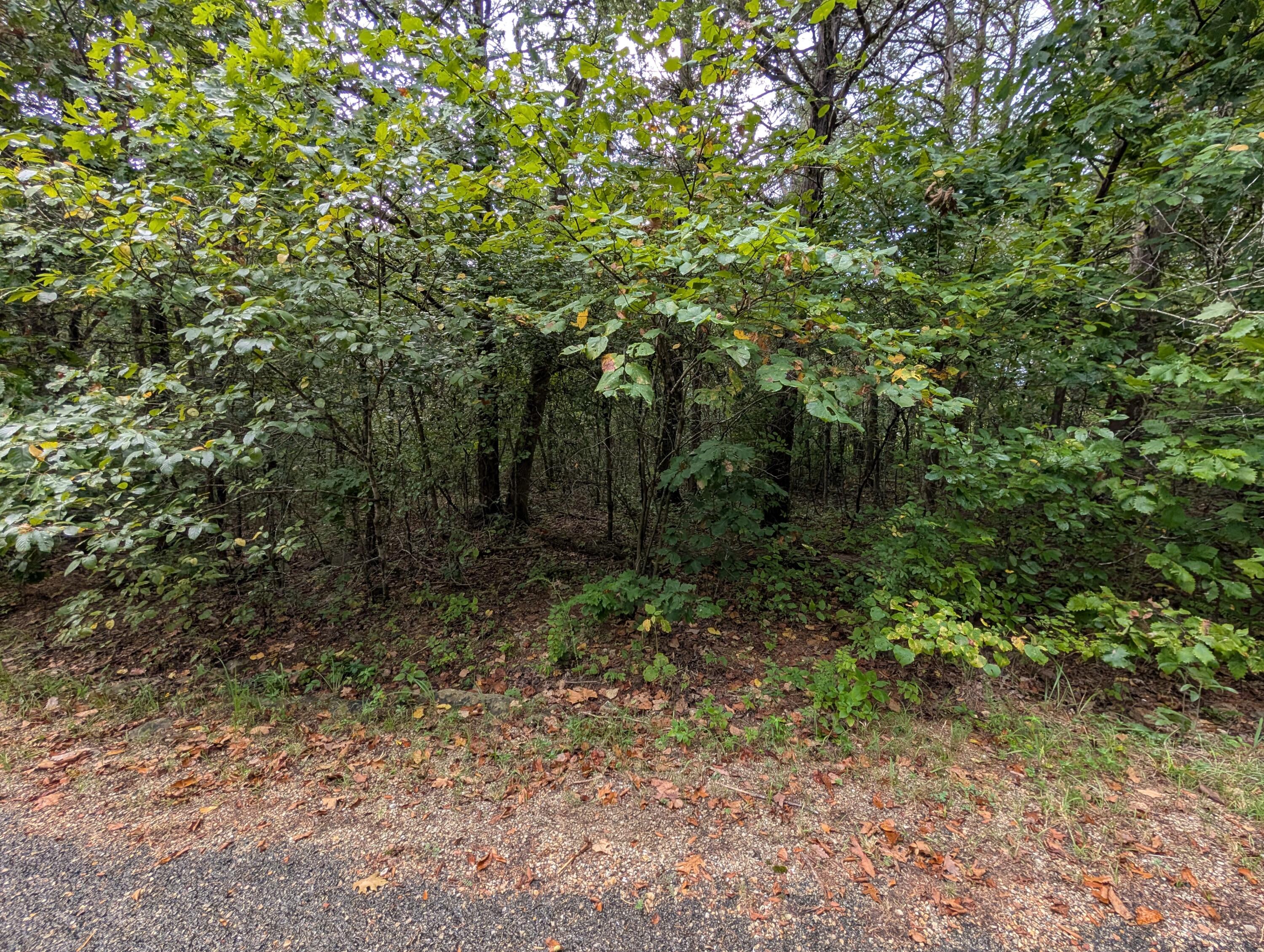 000 North Lot 359 Millstone Street Property Photo 4