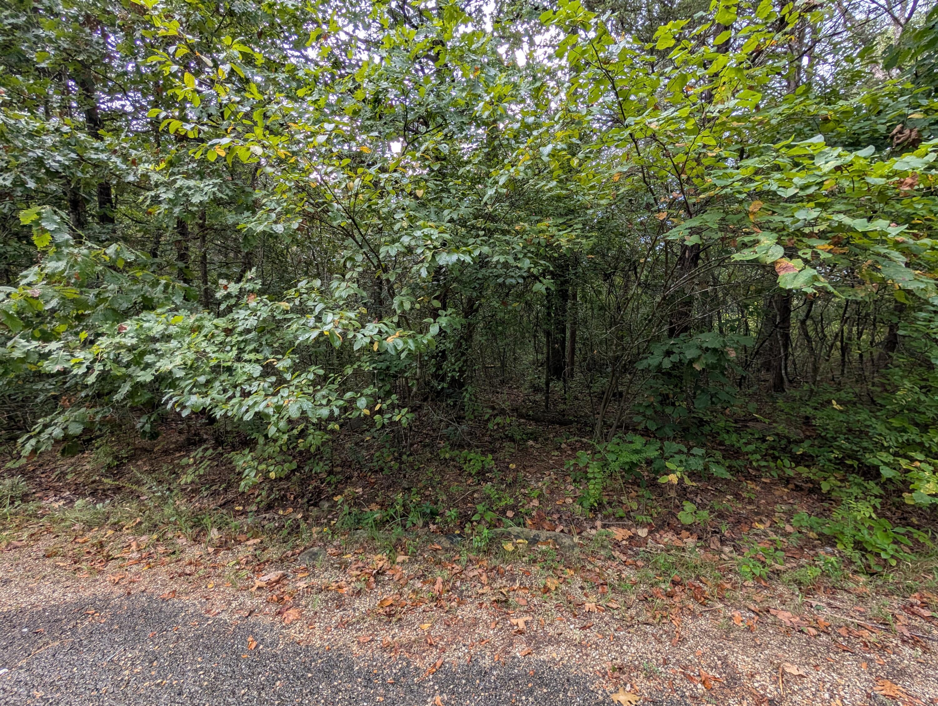 000 North Lot 359 Millstone Street Property Photo 5