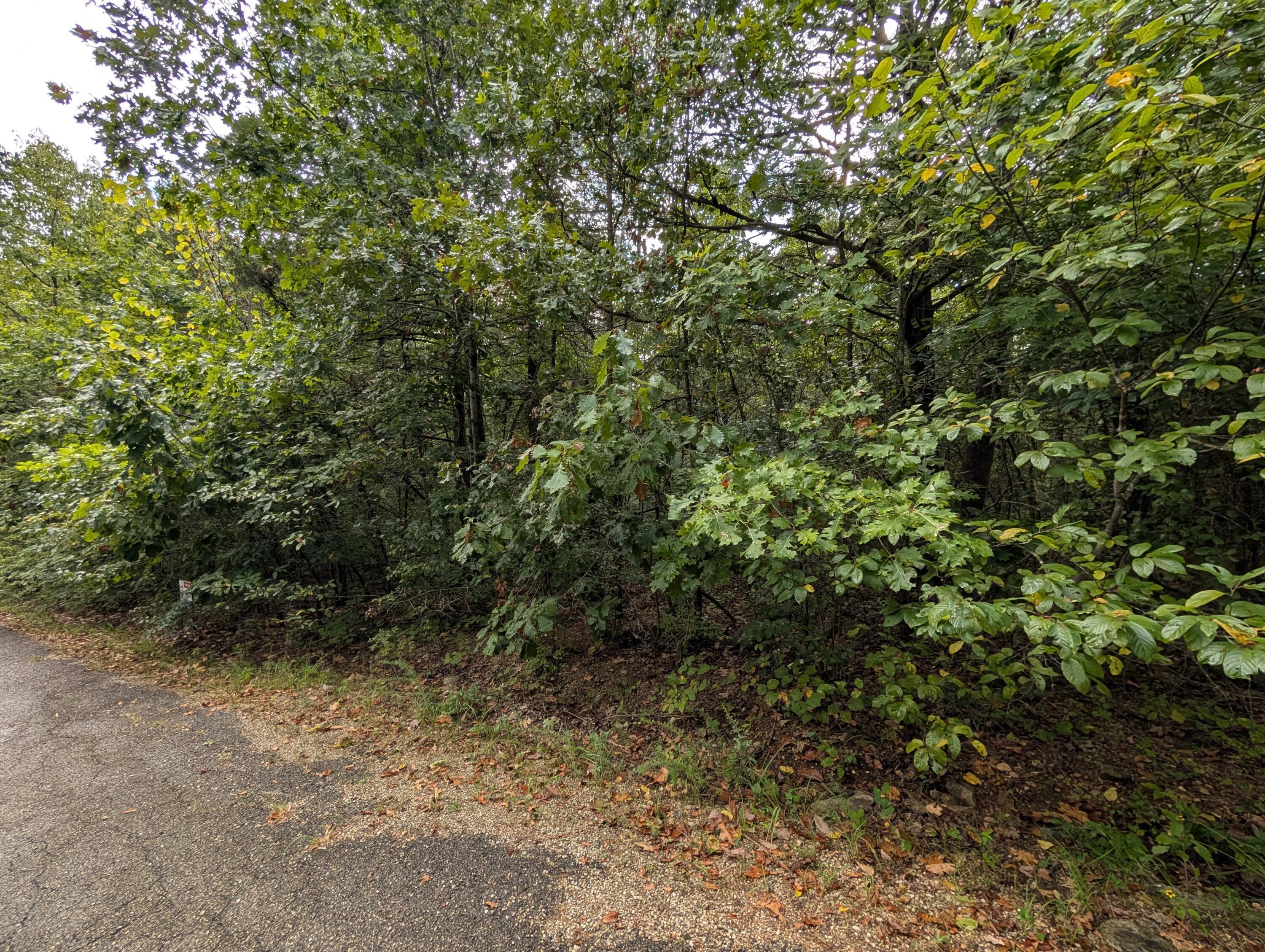 000 North Lot 359 Millstone Street Property Photo 6