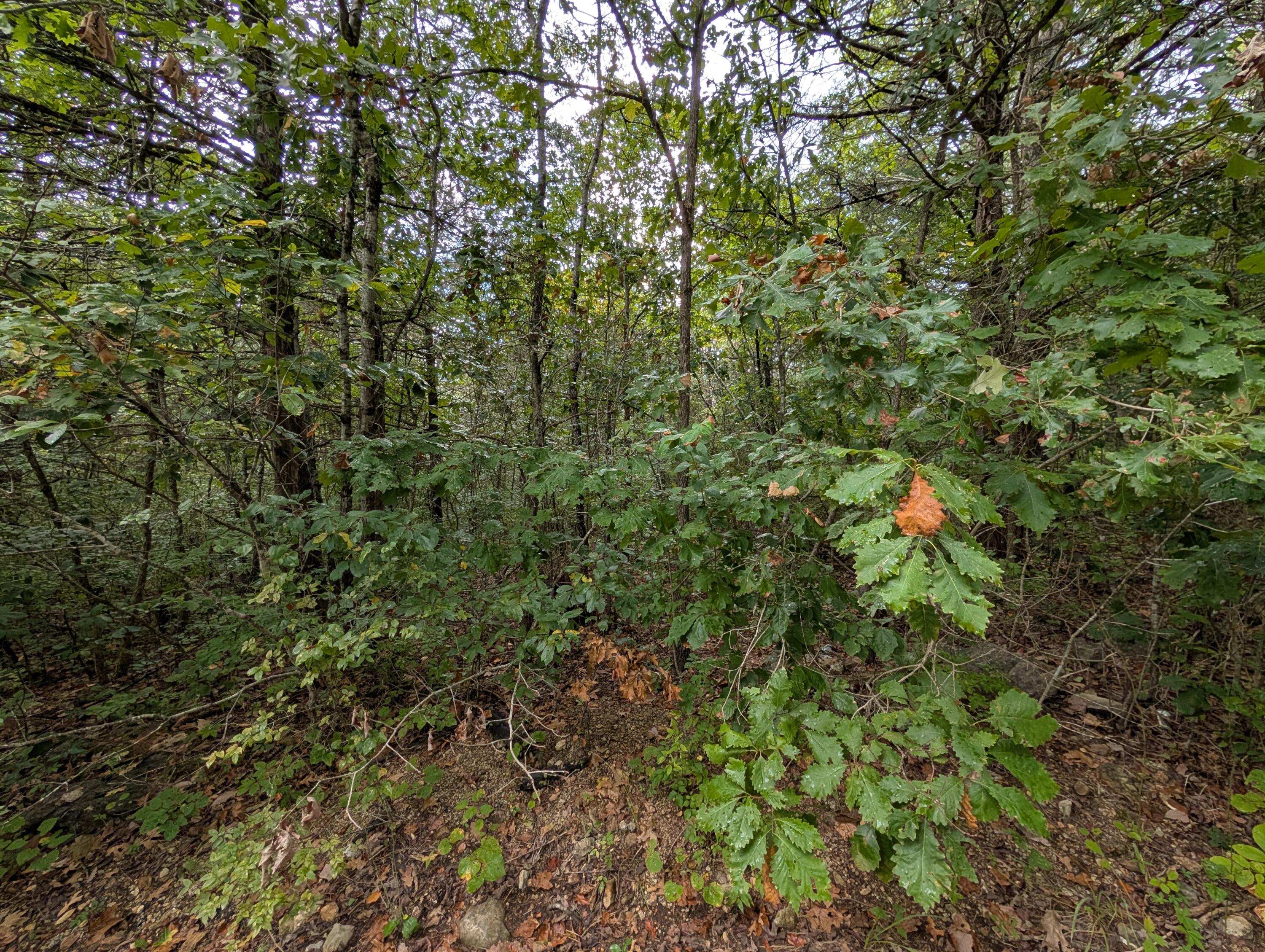 000 North Lot 359 Millstone Street Property Photo 7