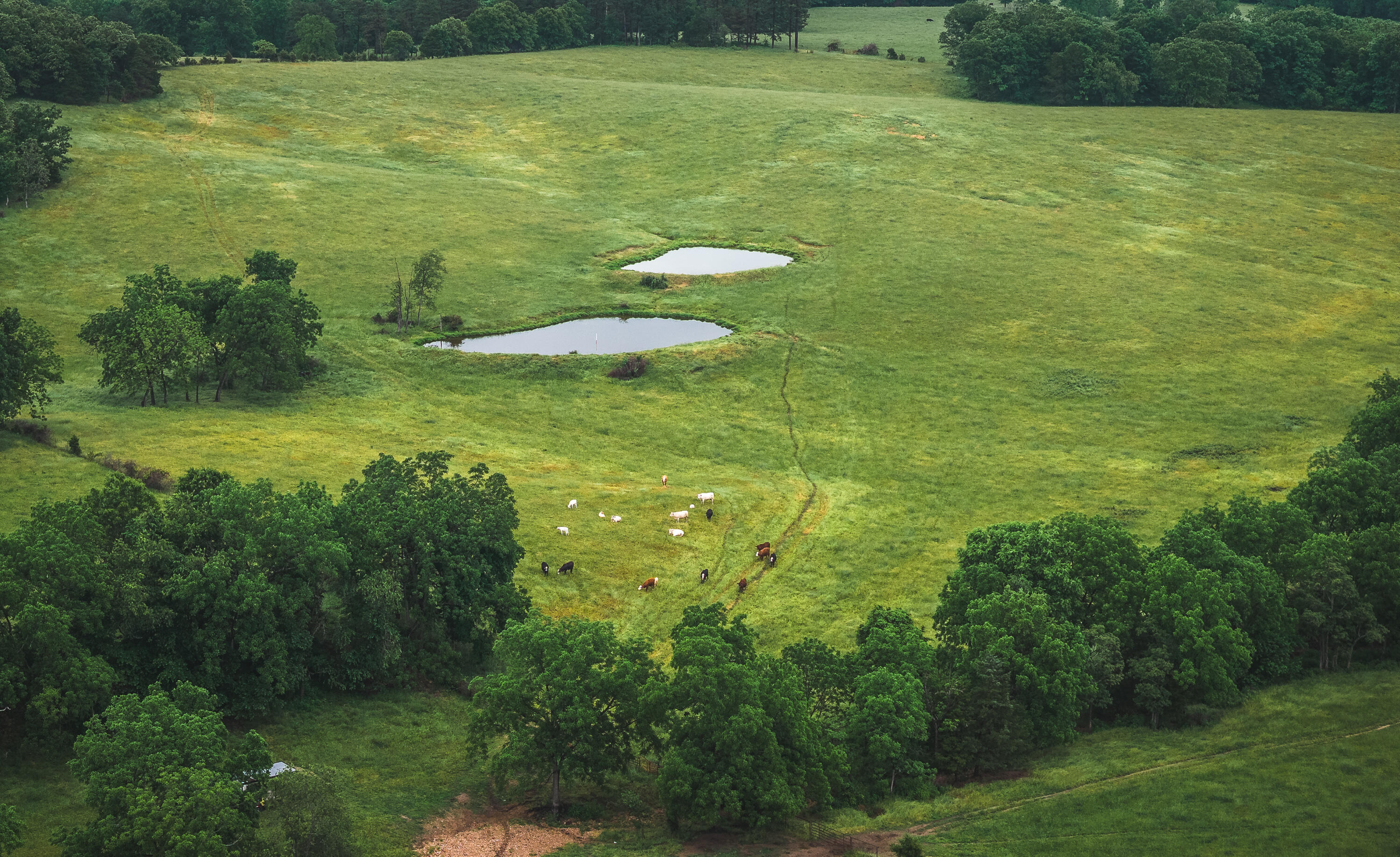 20063 Pigeon Creek Road Property Photo 34