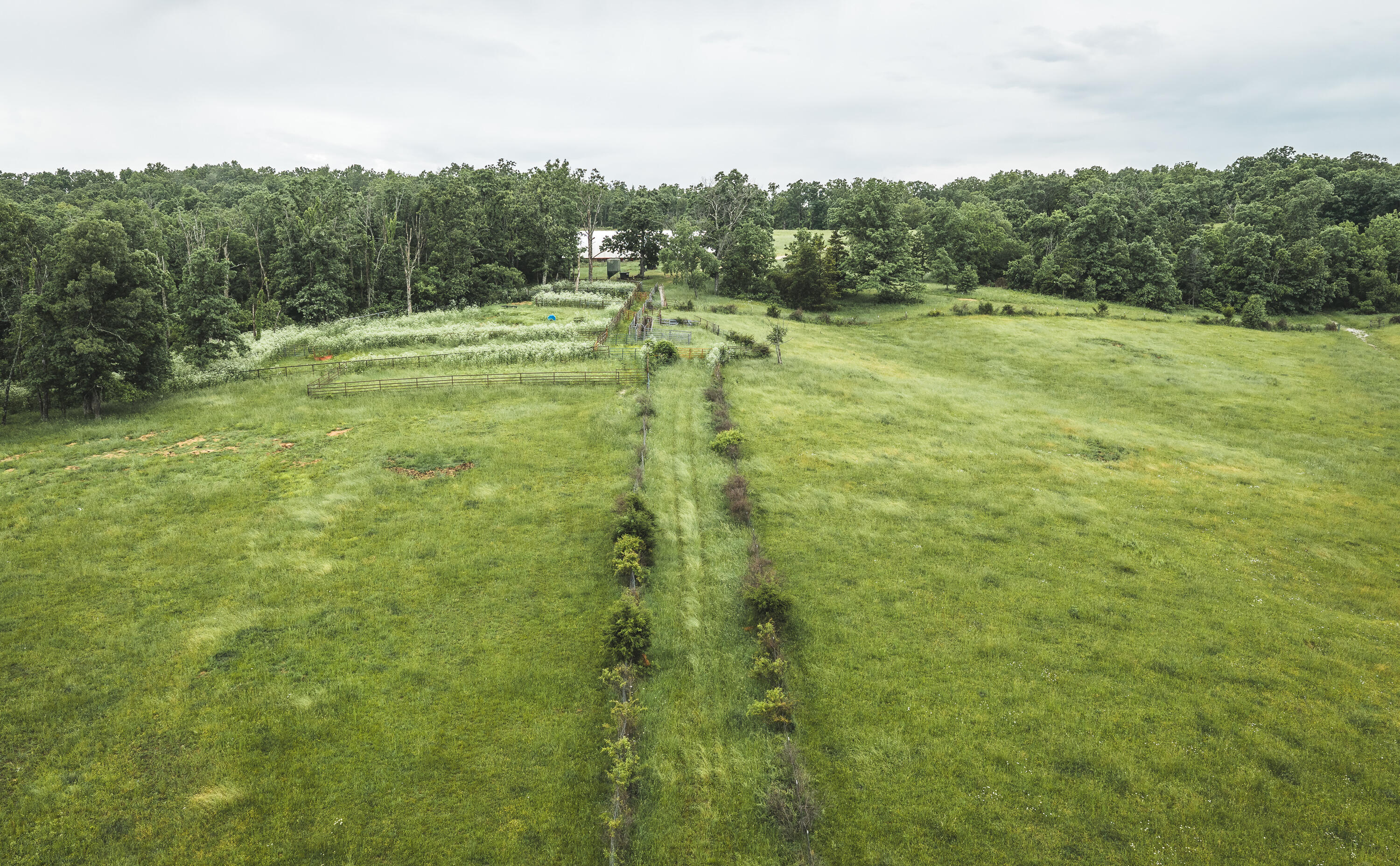 20063 Pigeon Creek Road Property Photo 44