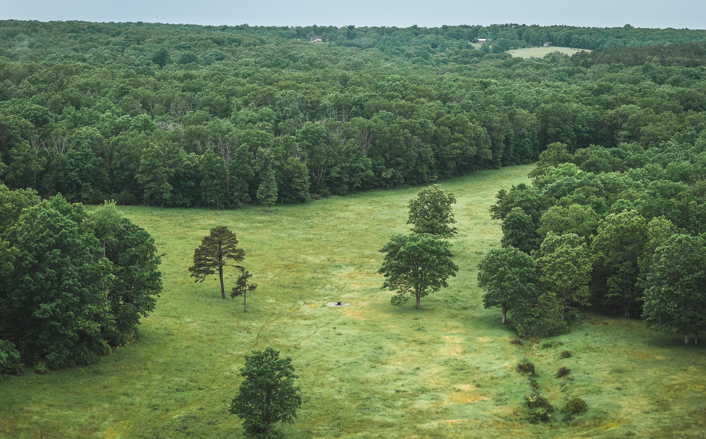 20063 Pigeon Creek Road Property Photo 50