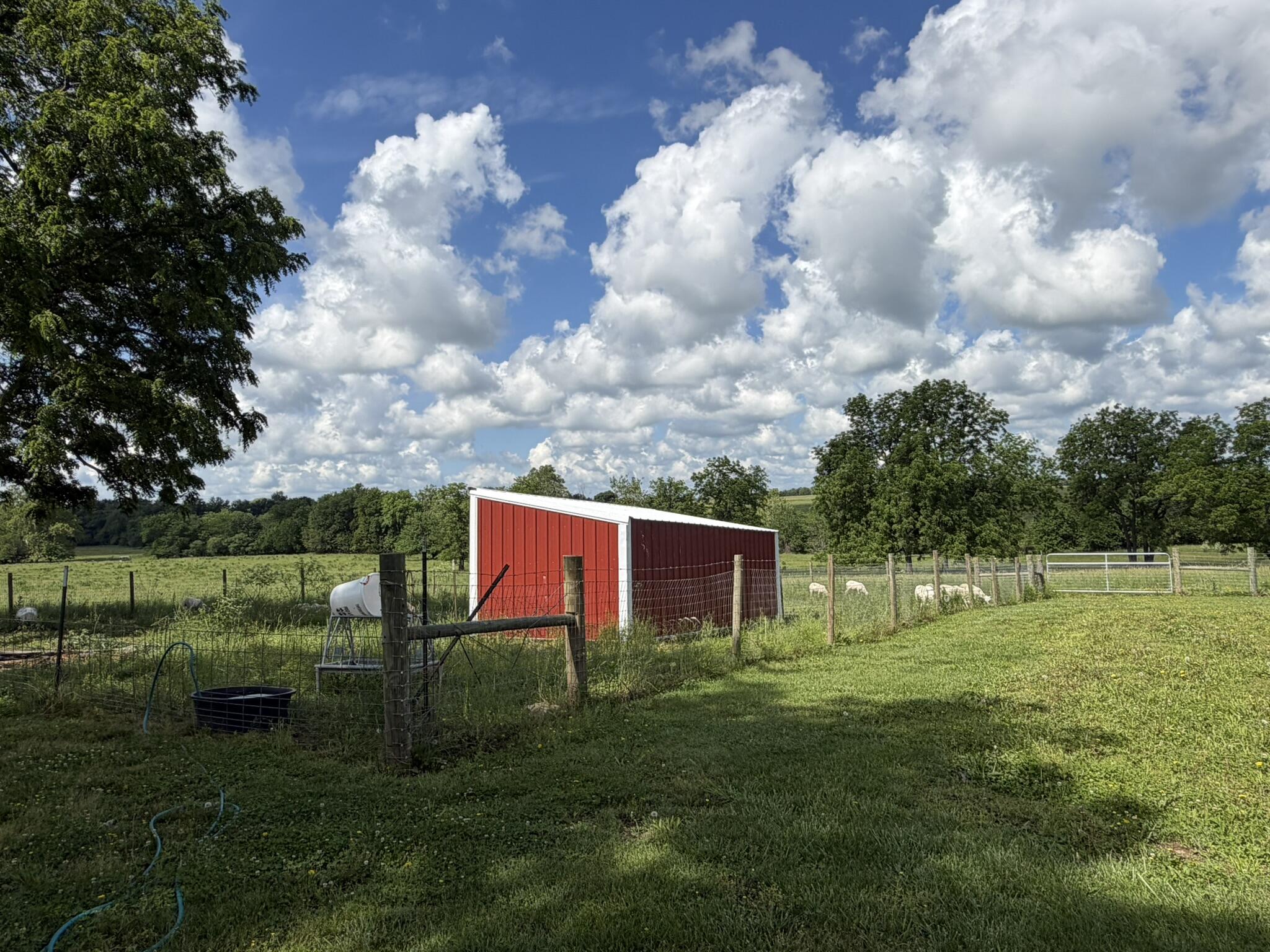 258 State Highway 32 Property Photo 19