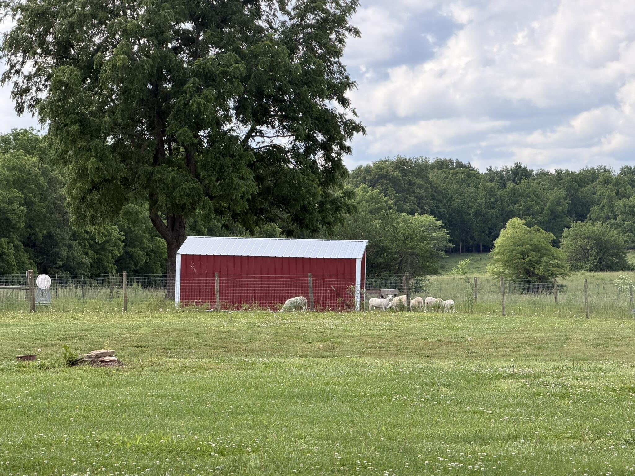 258 State Highway 32 Property Photo 20