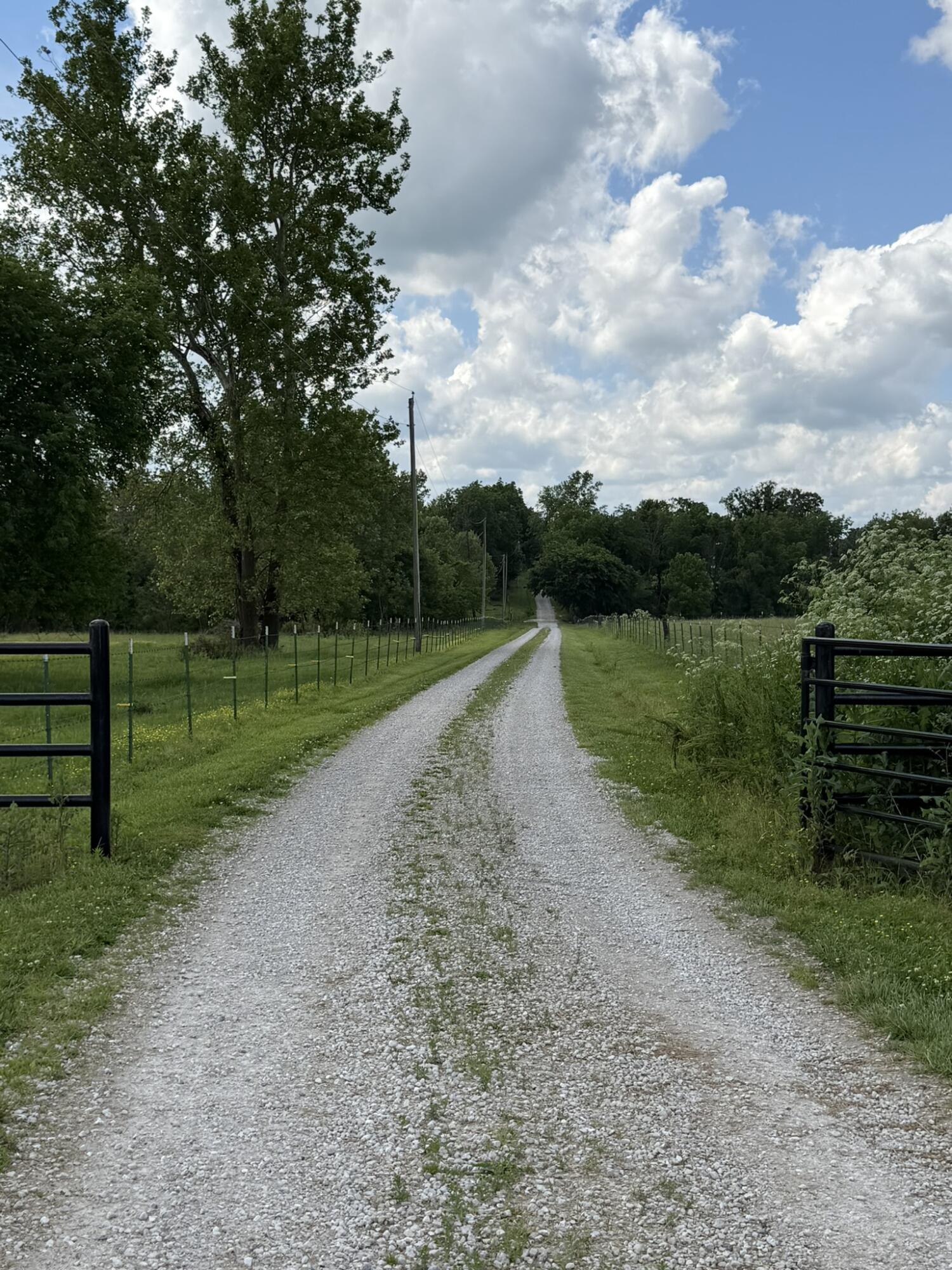 258 State Highway 32 Property Photo 45