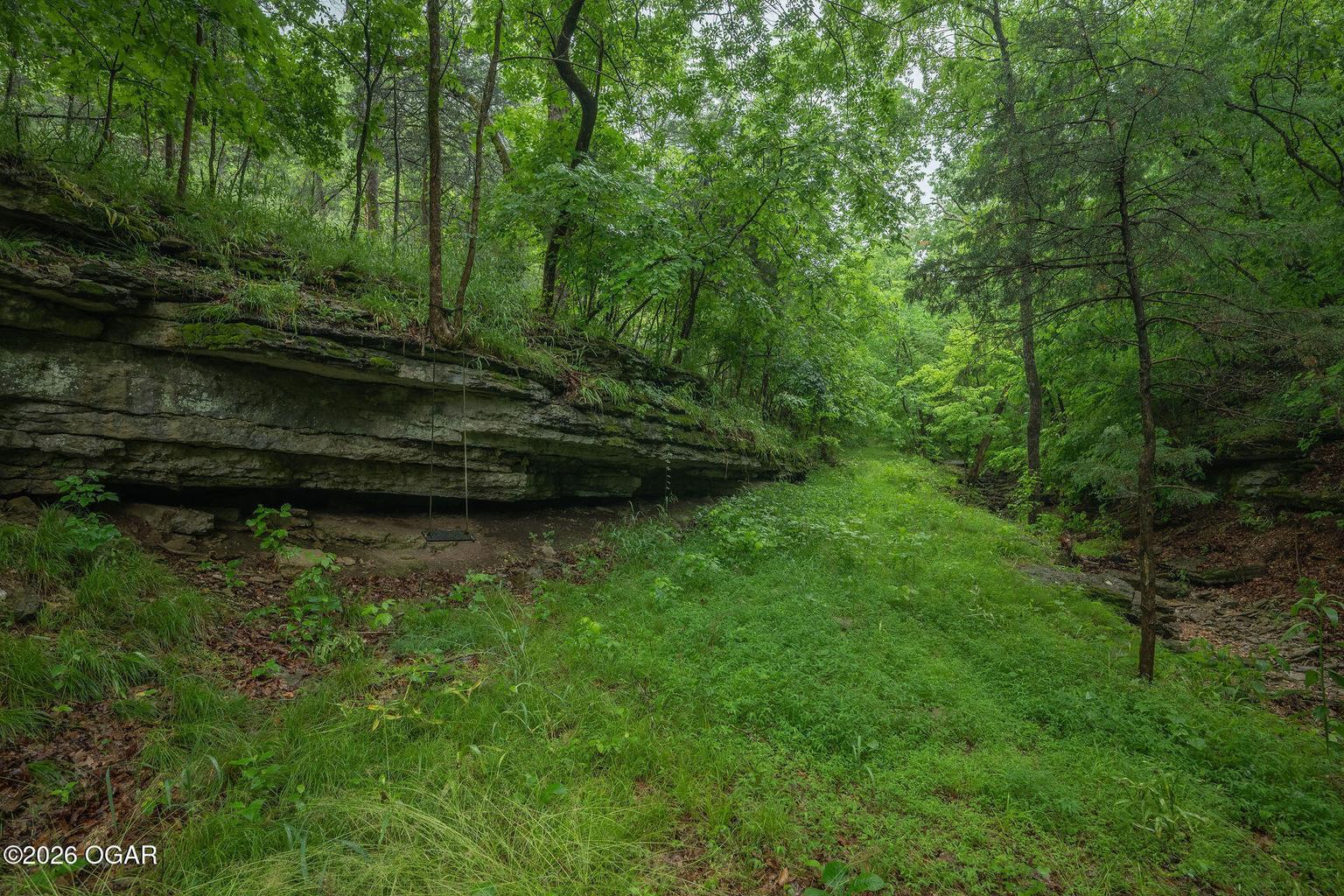 208 Minnow Springs Avenue Property Photo 40