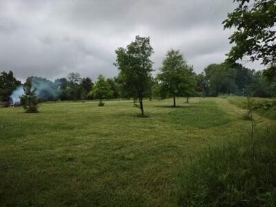 10+/- Ac. West State Highway 90 Property Photo 14