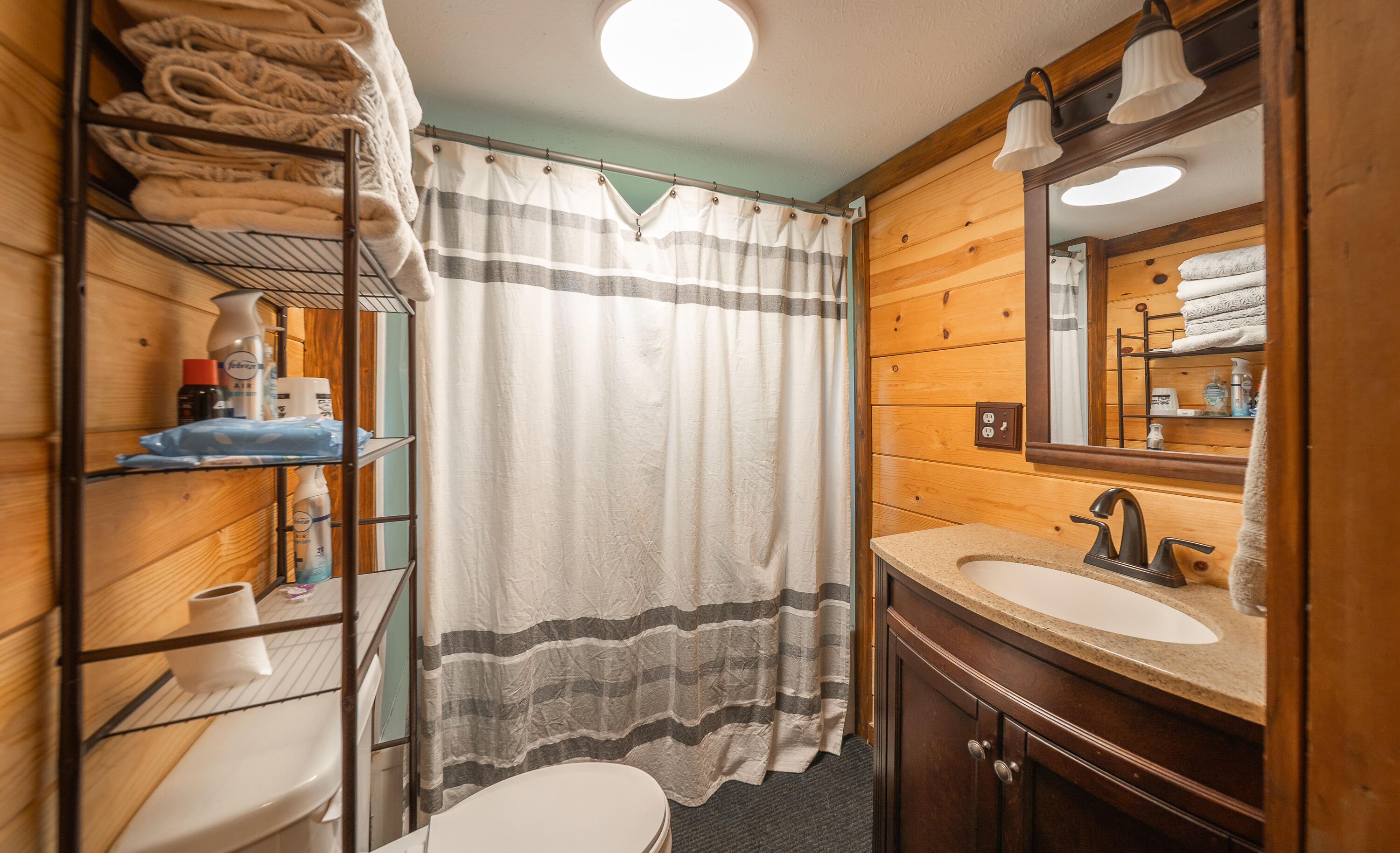 10105 State Highway Z Property Photo 15