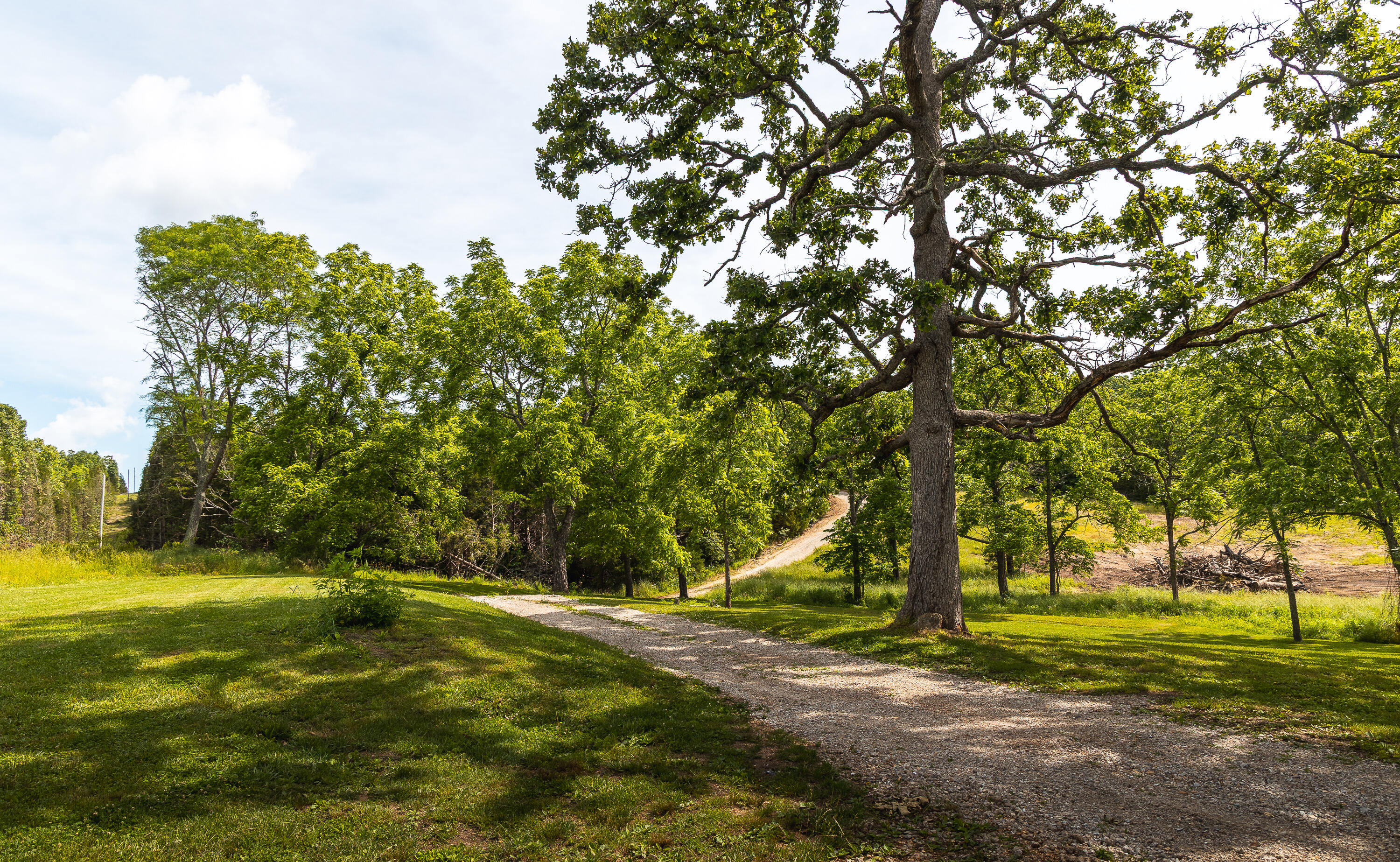 10105 State Highway Z Property Photo 20