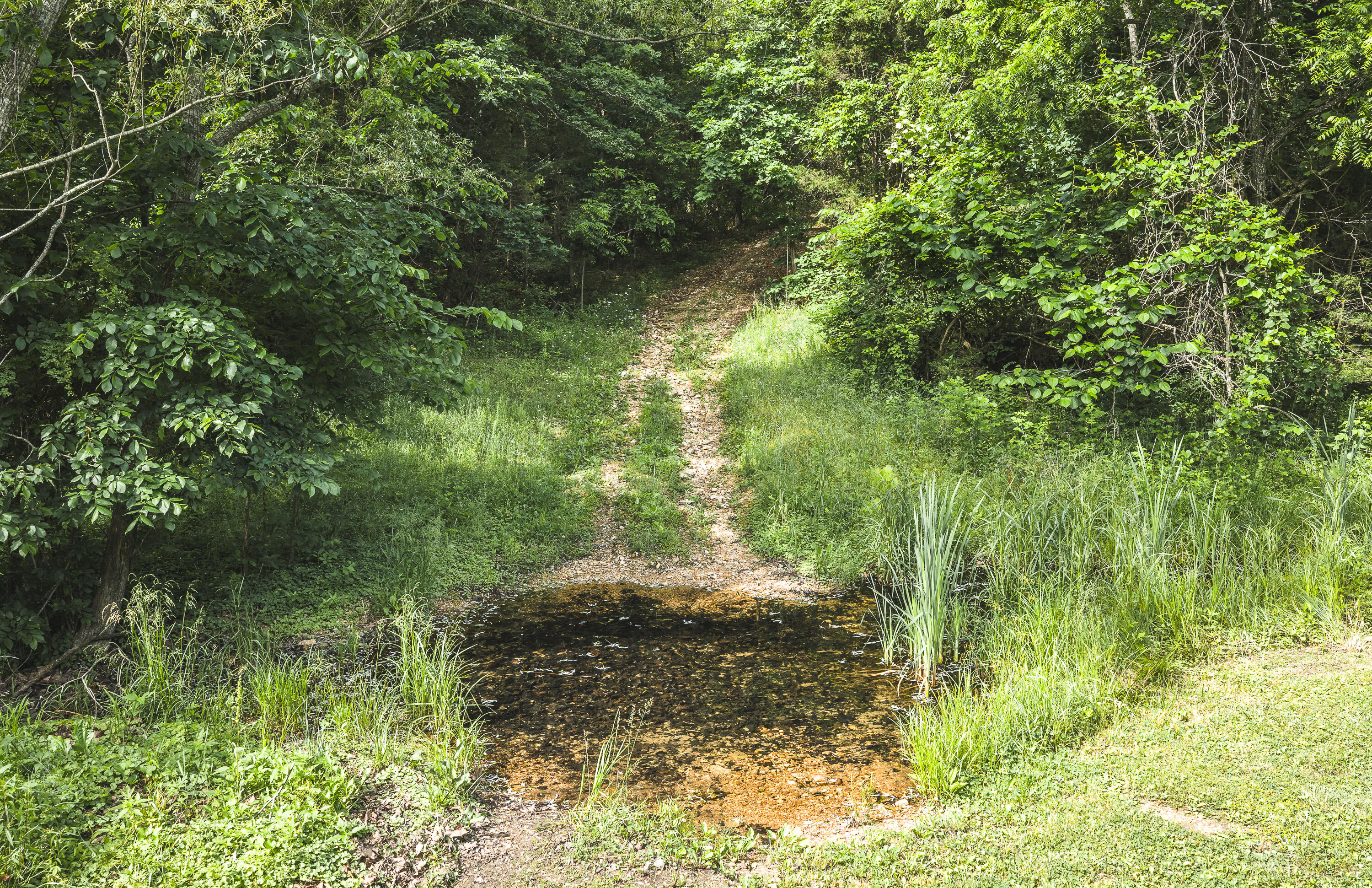10105 State Highway Z Property Photo 21