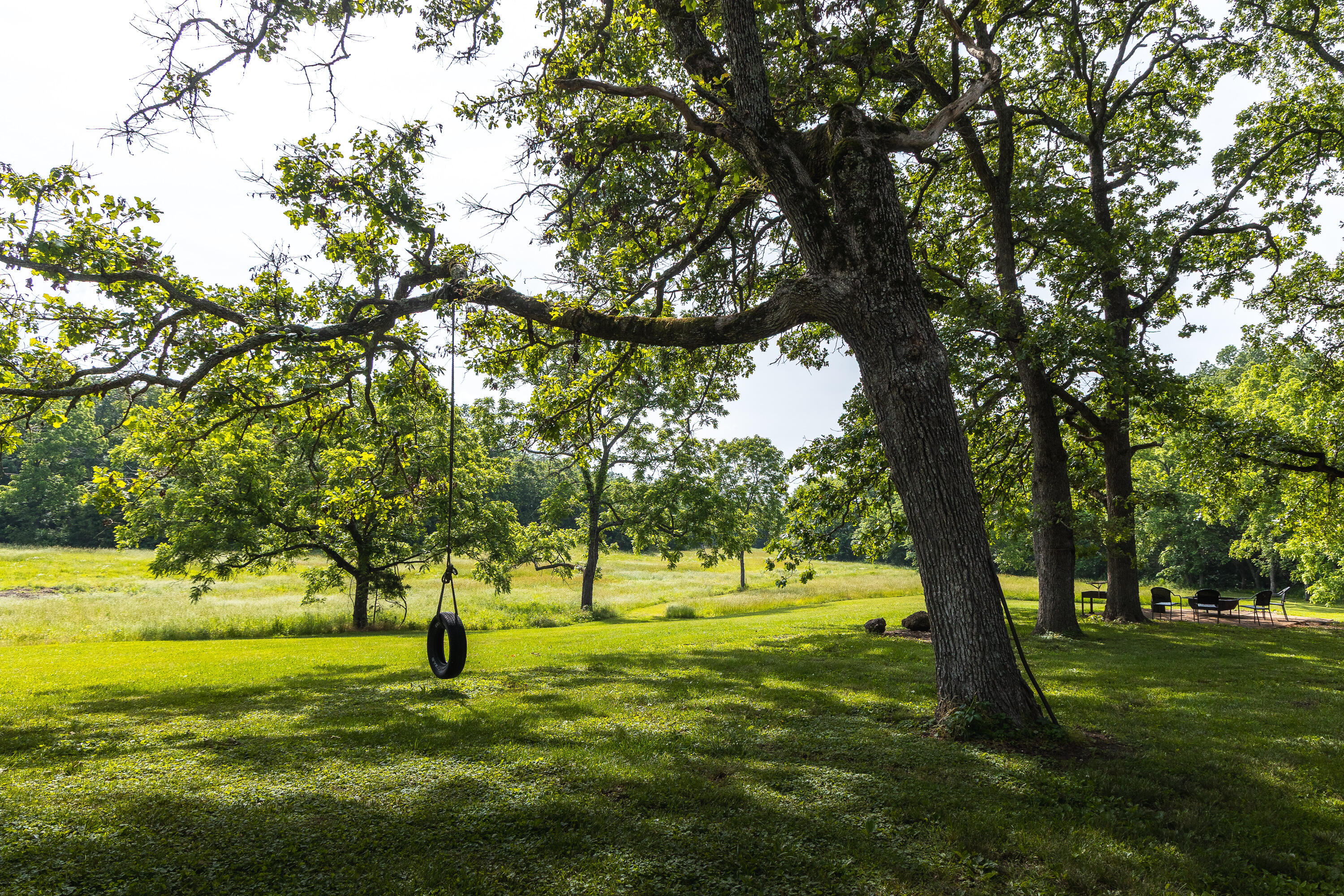 10105 State Highway Z Property Photo 22