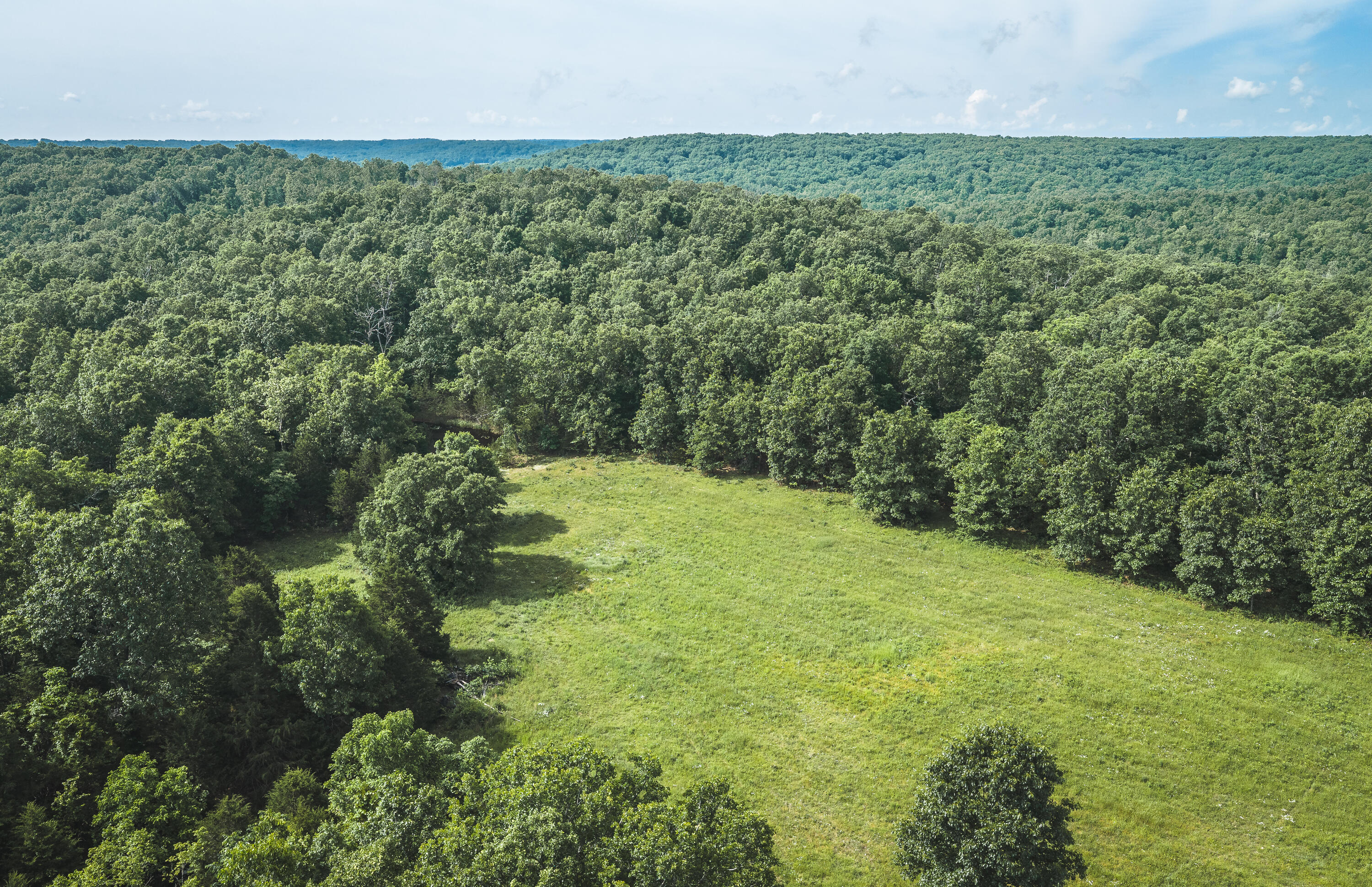 10105 State Highway Z Property Photo 26