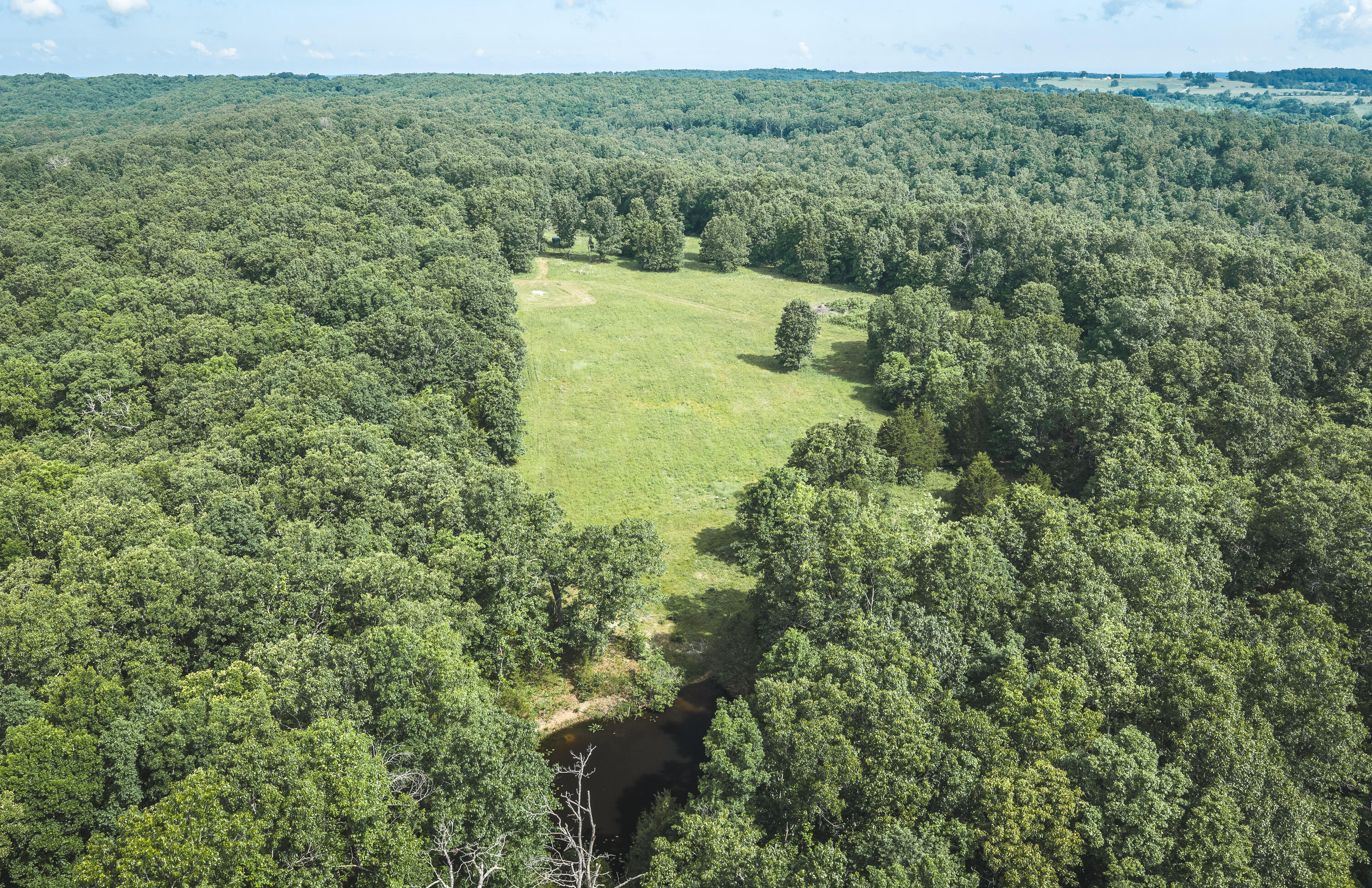 10105 State Highway Z Property Photo 27
