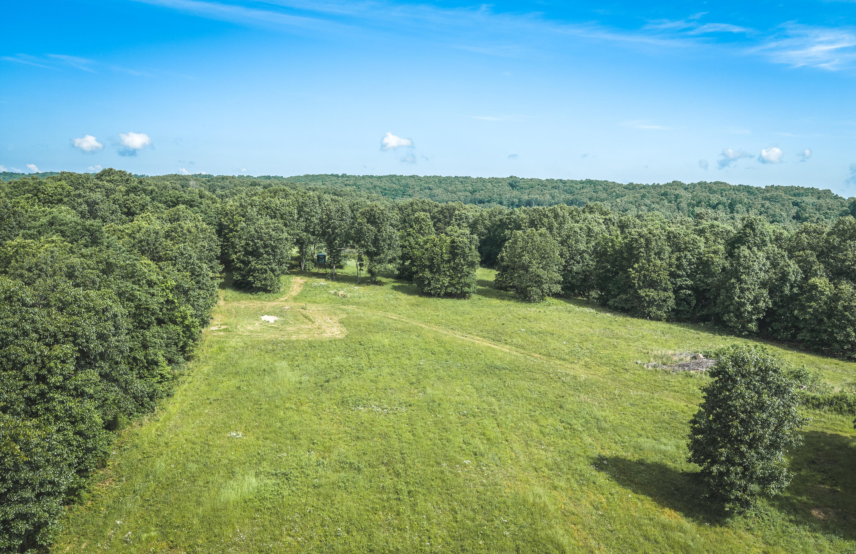 10105 State Highway Z Property Photo 28