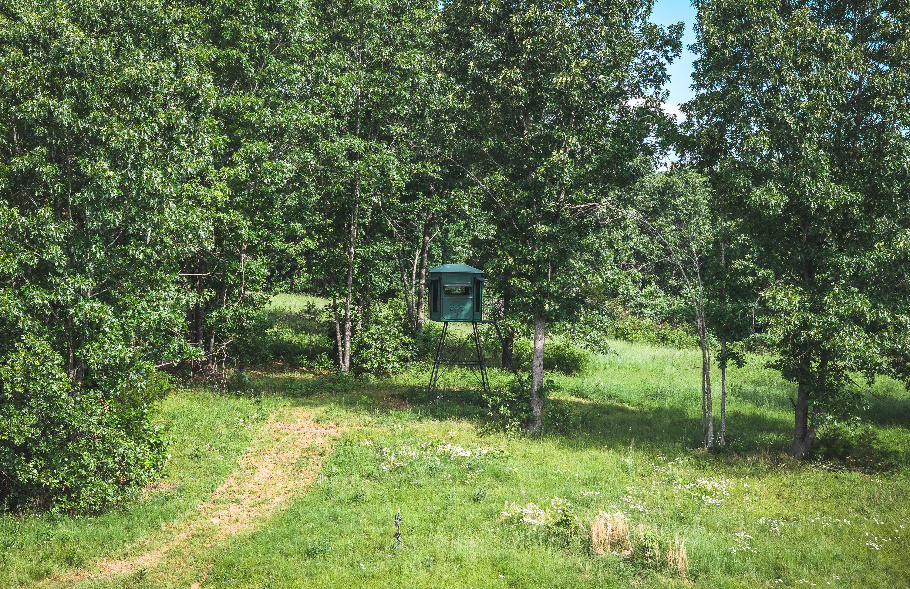 10105 State Highway Z Property Photo 29
