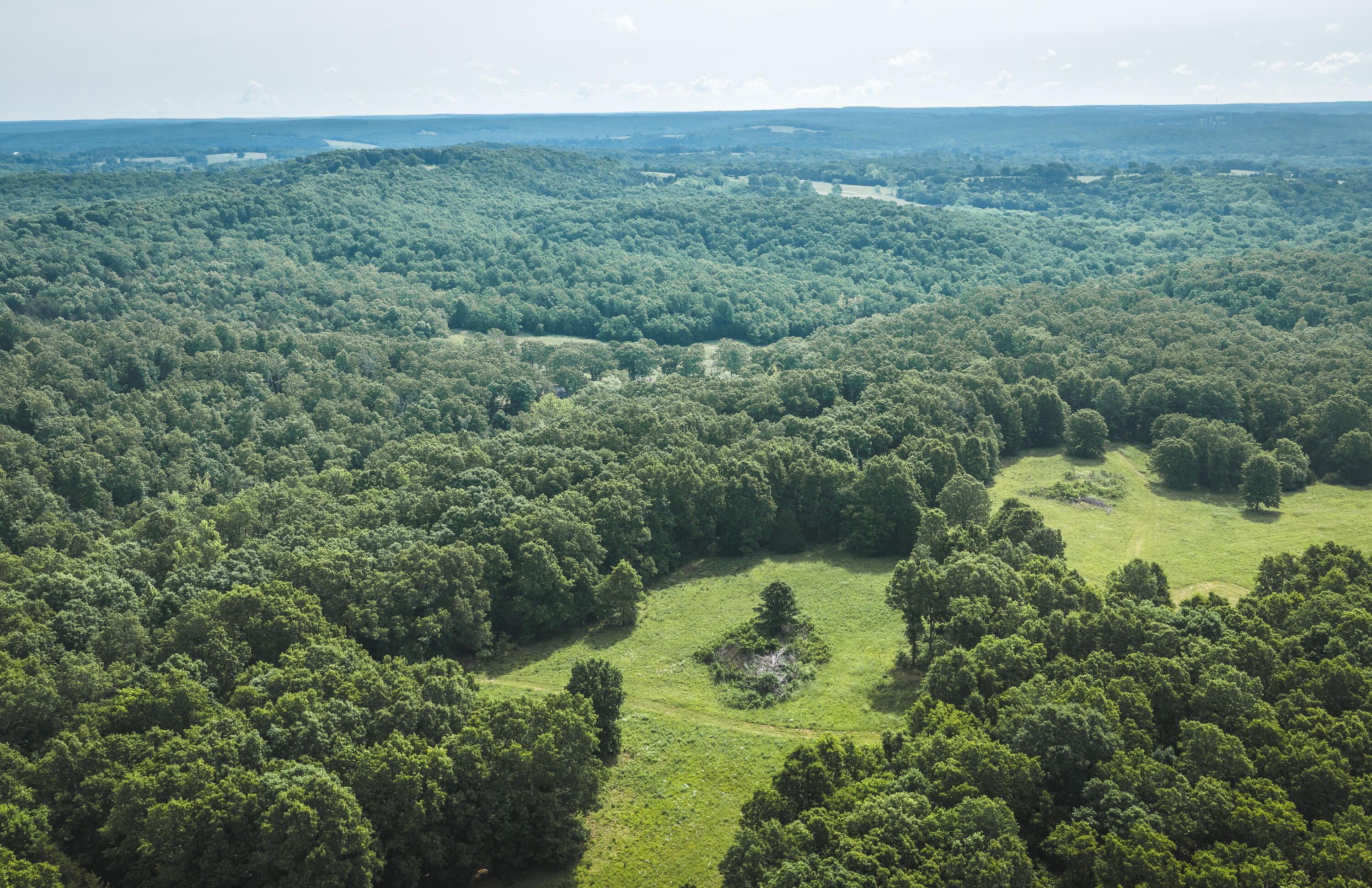 10105 State Highway Z Property Photo 30