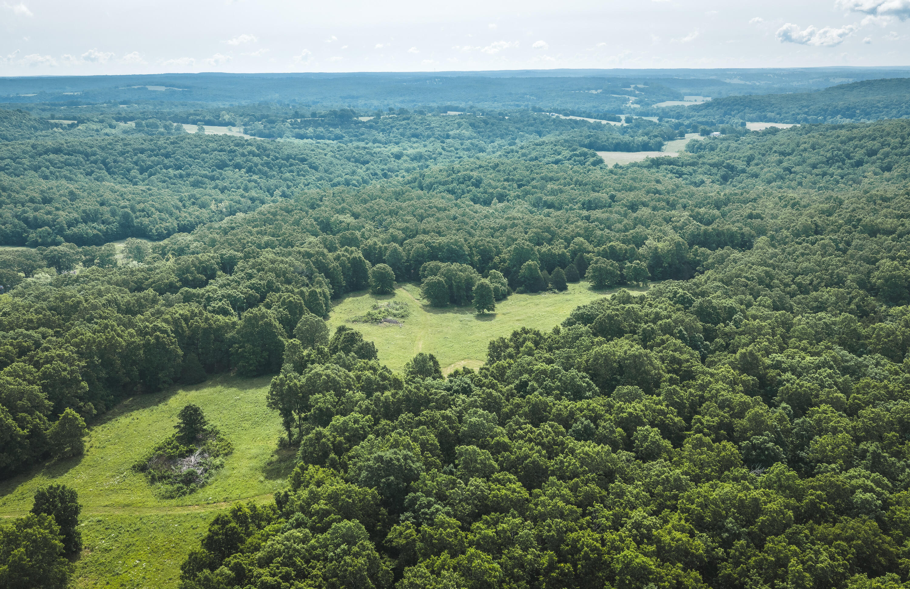 10105 State Highway Z Property Photo 31