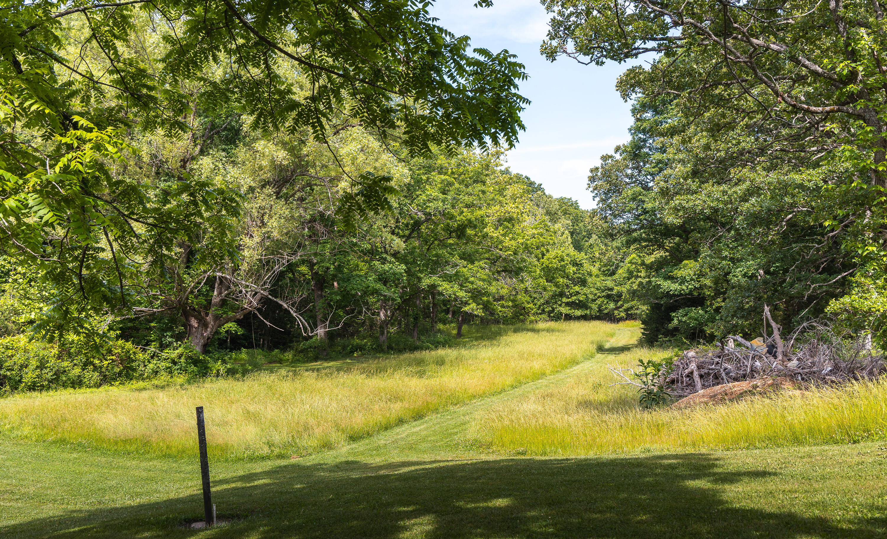 10105 State Highway Z Property Photo 32