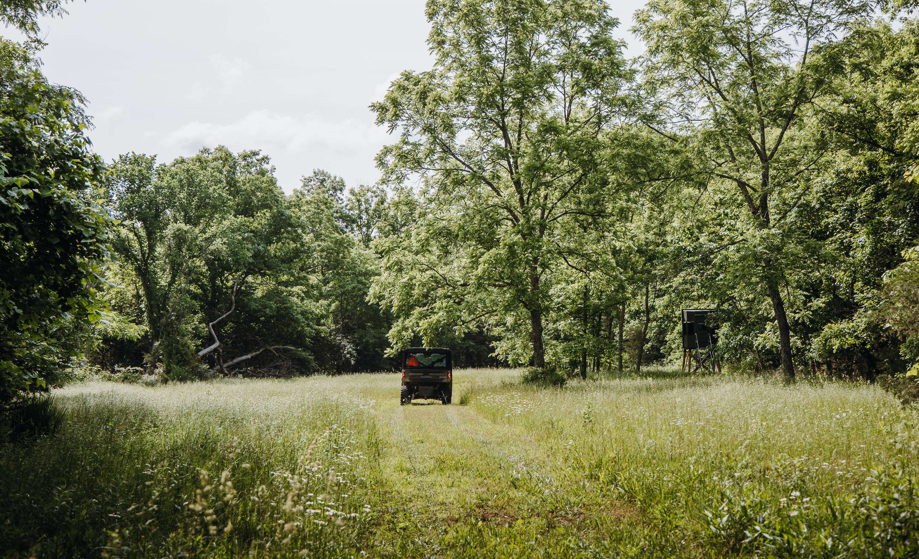 10105 State Highway Z Property Photo 34