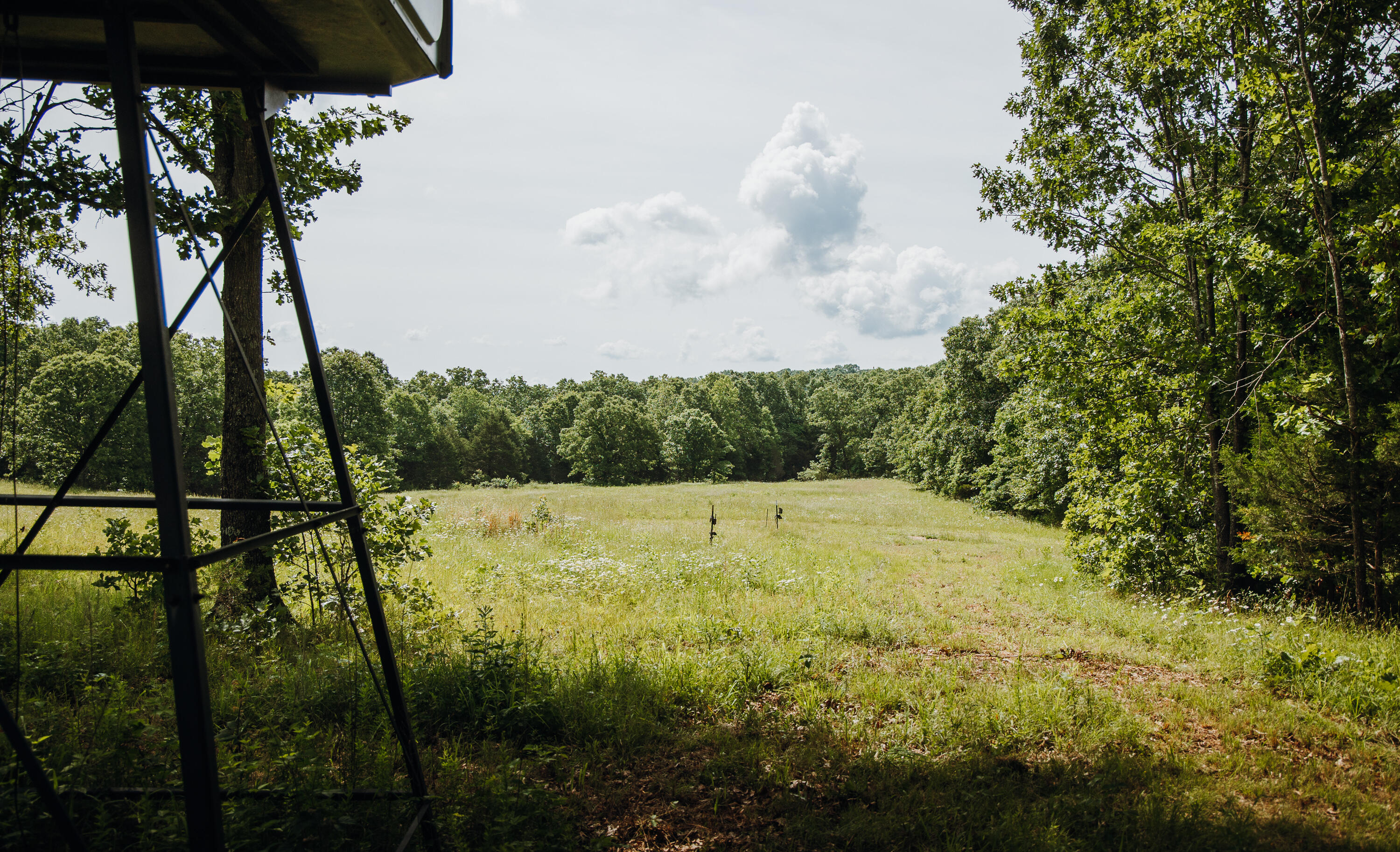 10105 State Highway Z Property Photo 35