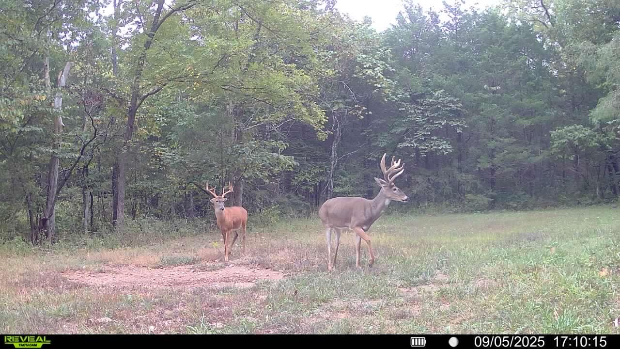 10105 State Highway Z Property Photo 38