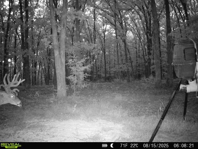 10105 State Highway Z Property Photo 49