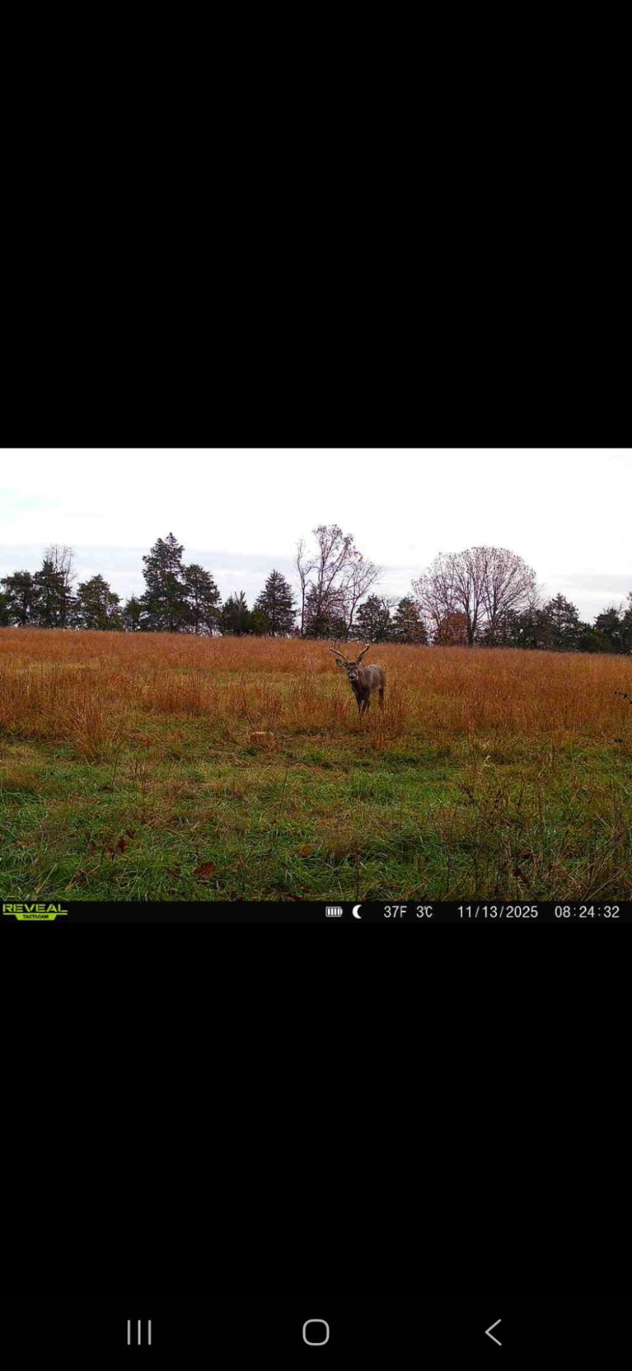 10105 State Highway Z Property Photo 50