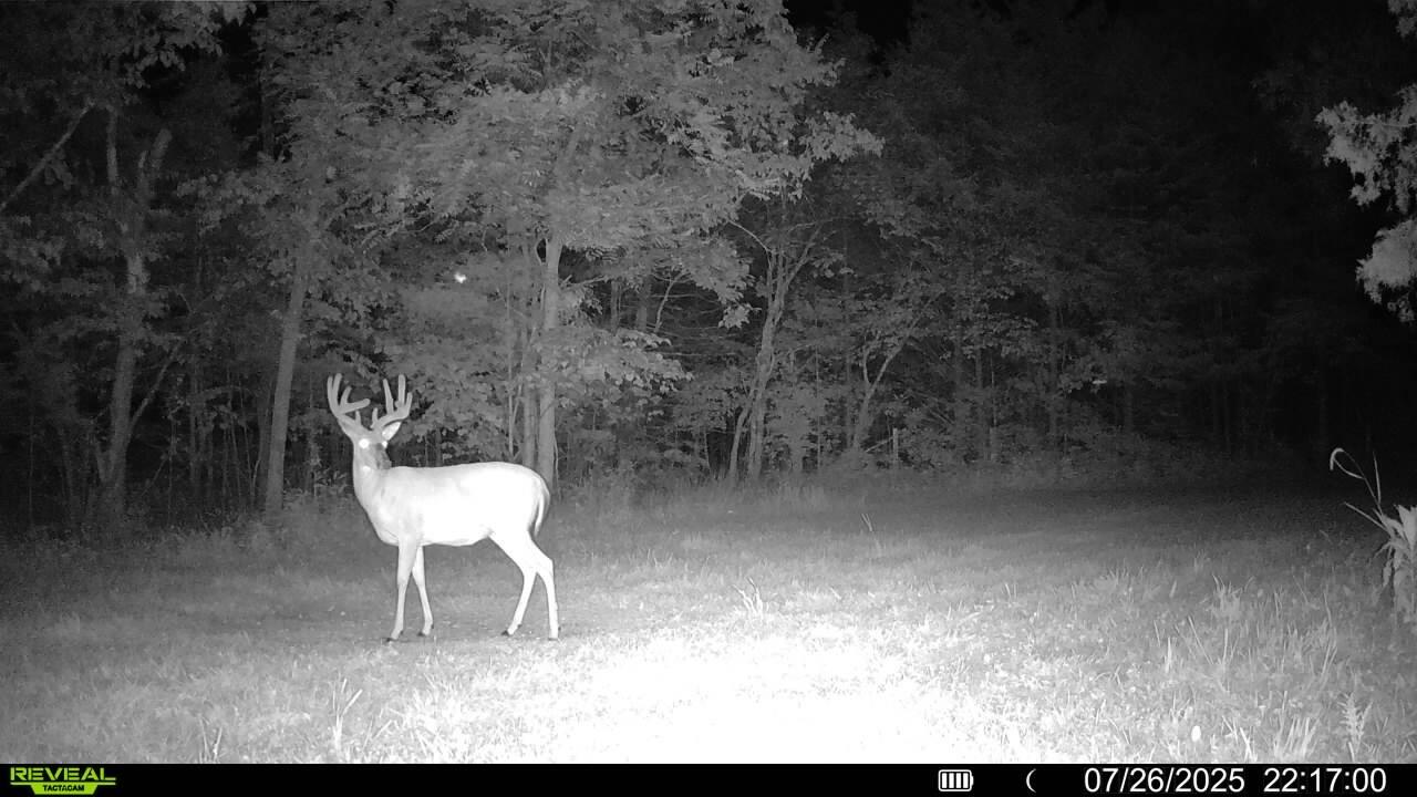 10105 State Highway Z Property Photo 52